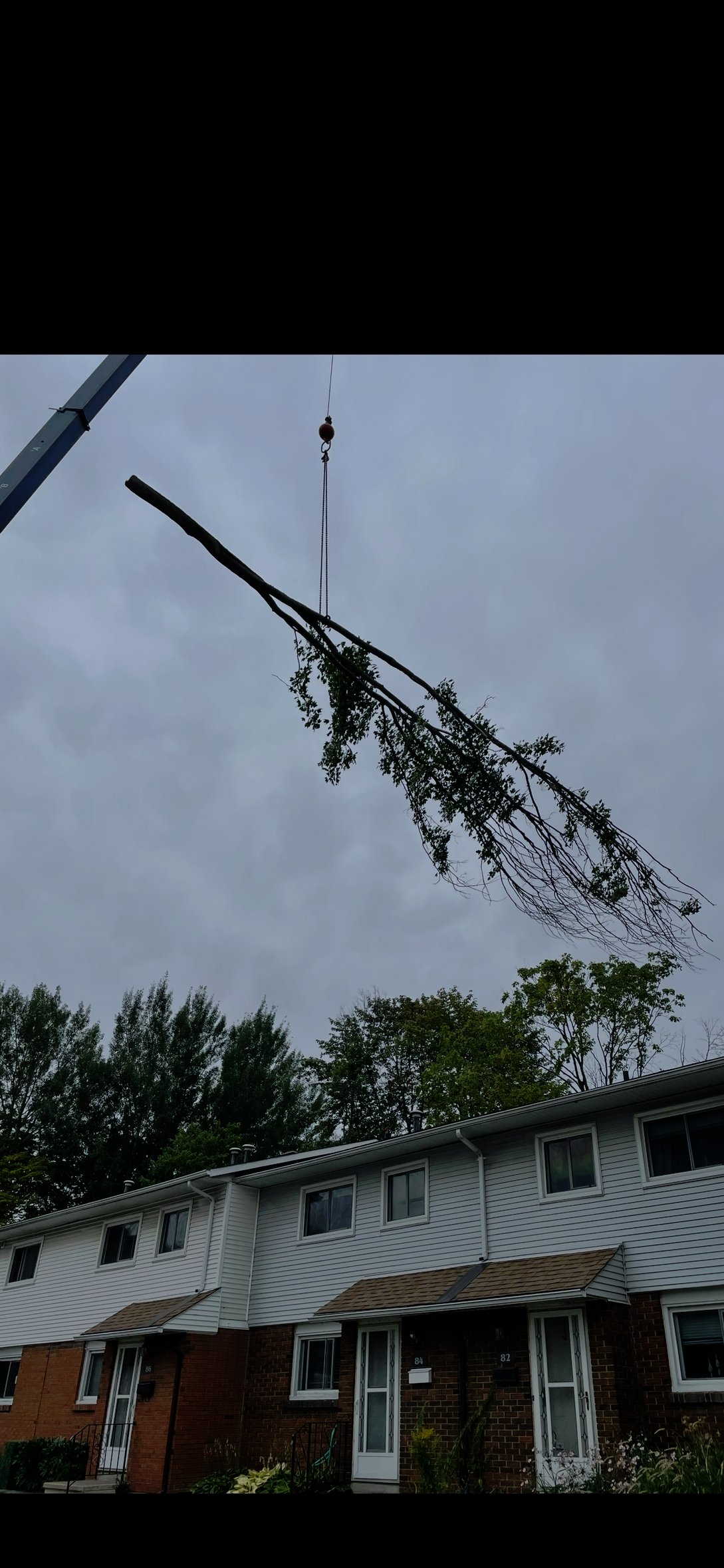 Tree-Removal-Crane.png