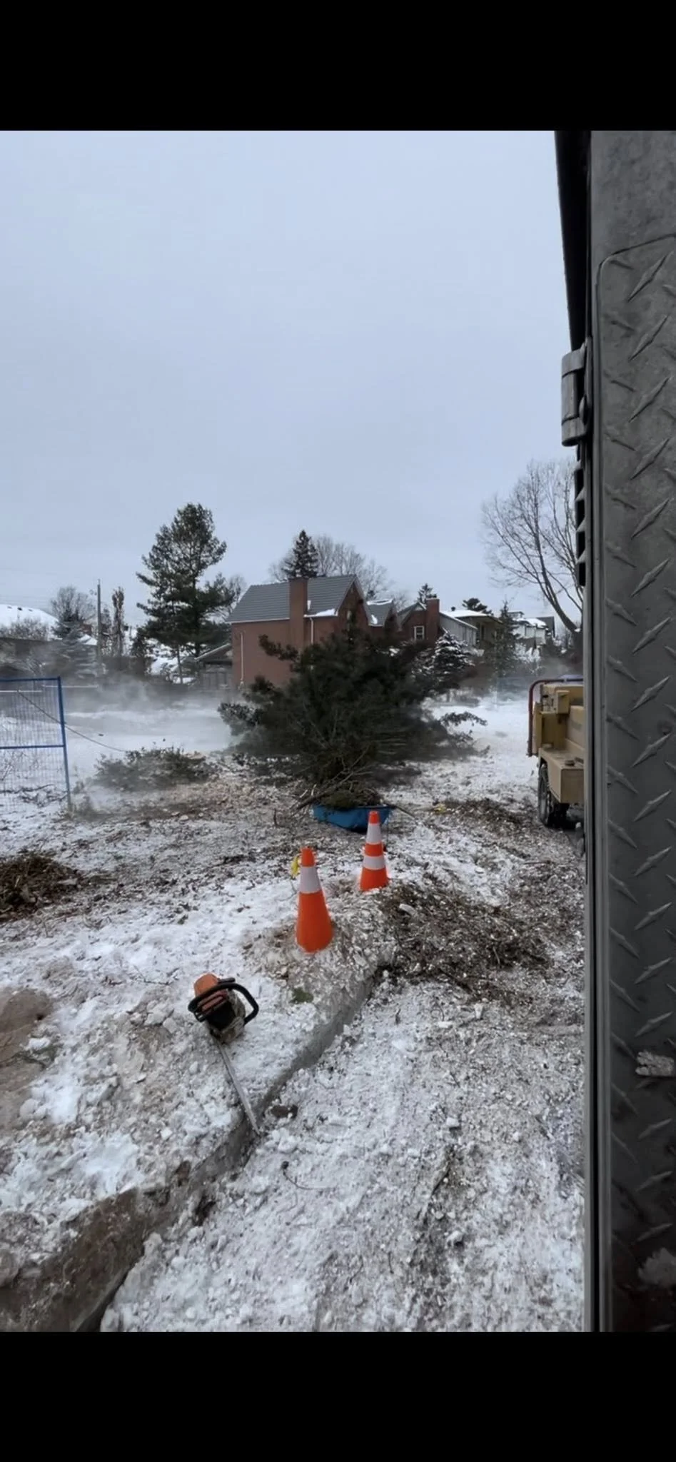 TreeRemovalAfter.jpg