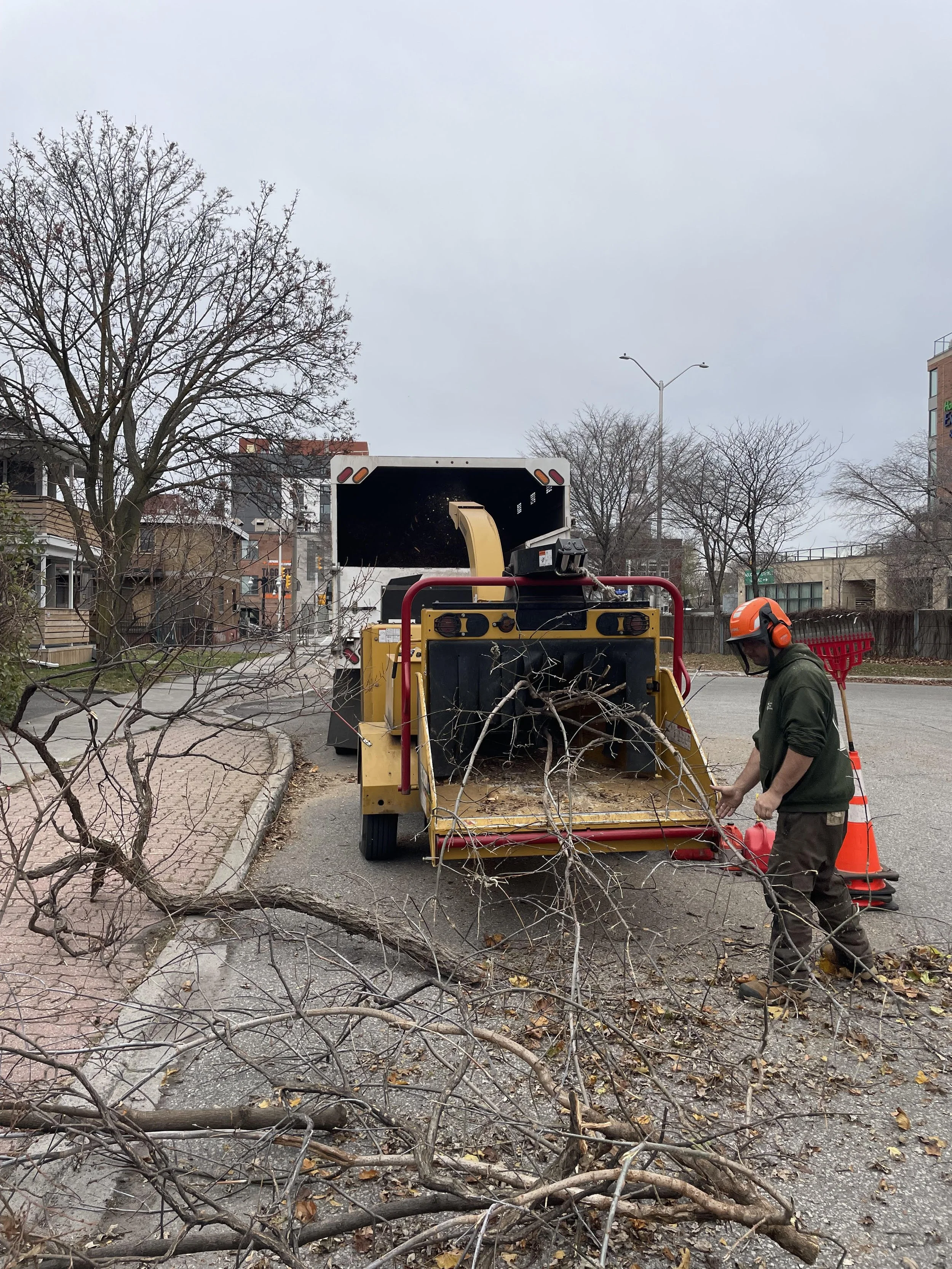 TreeRemovalTruckChipperCleanup.jpg