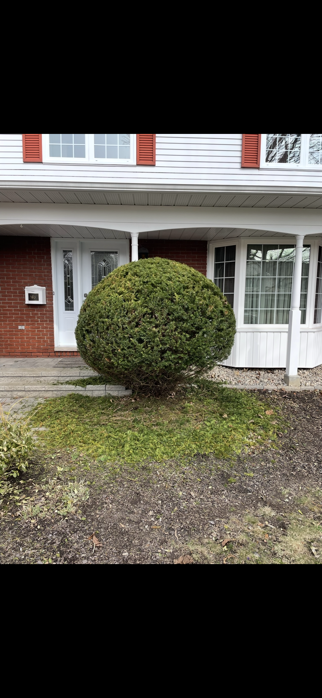 Hedge-Shrub-Trimming Nepean.PNG