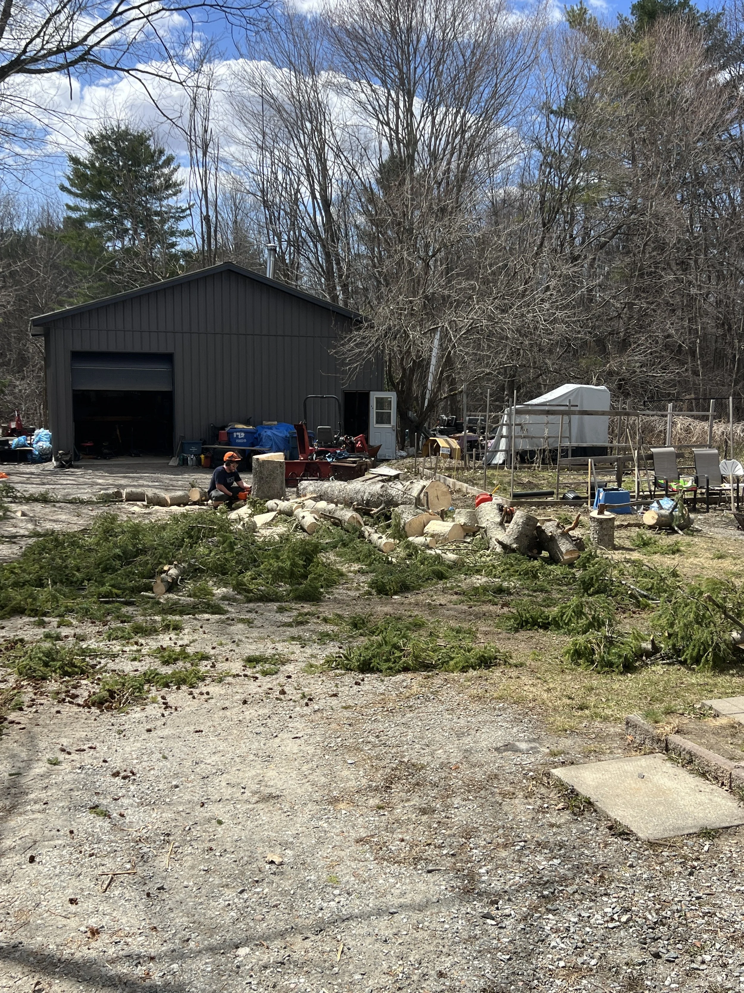 Tree Removal Spruce After 4(1).JPG