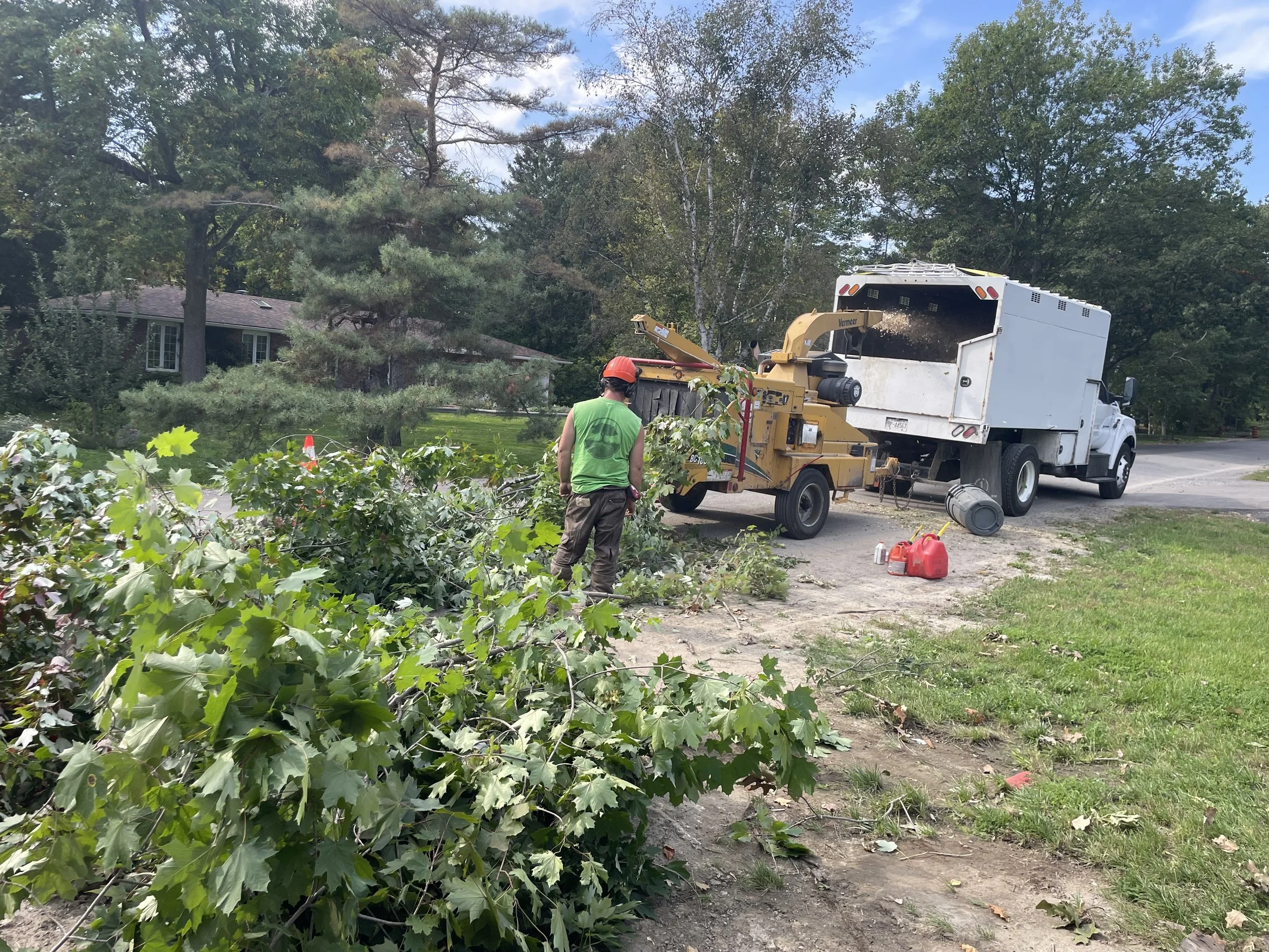 Tree-Removal-ChipperInAction-Manotick.jpeg