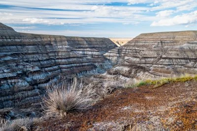 Badlands. Alberta, Canada