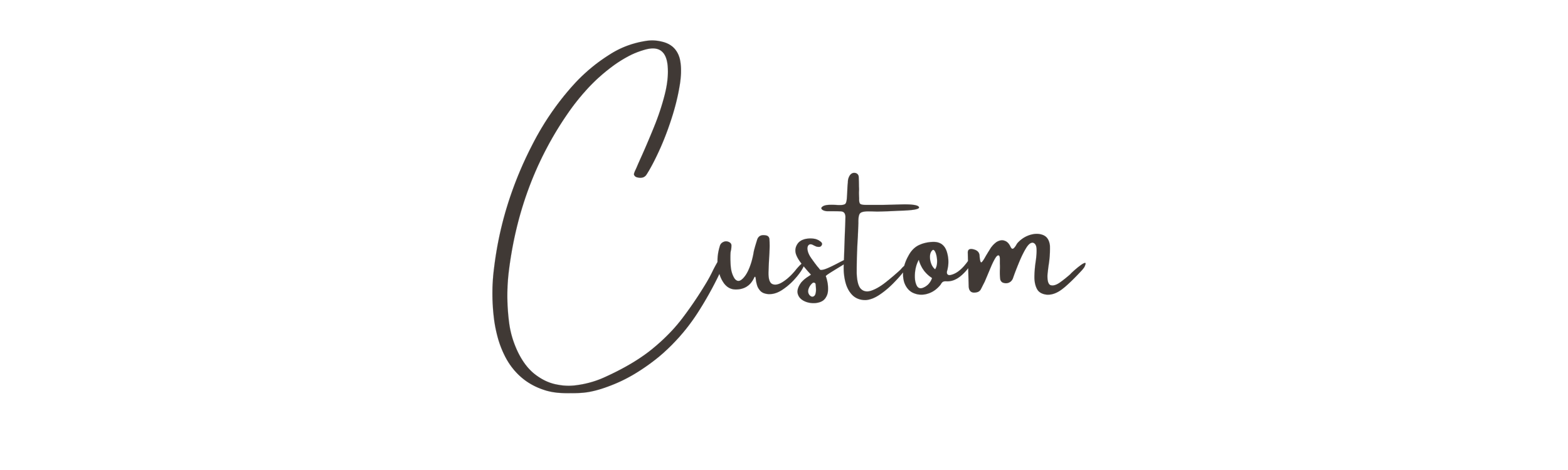 the word "Custom"