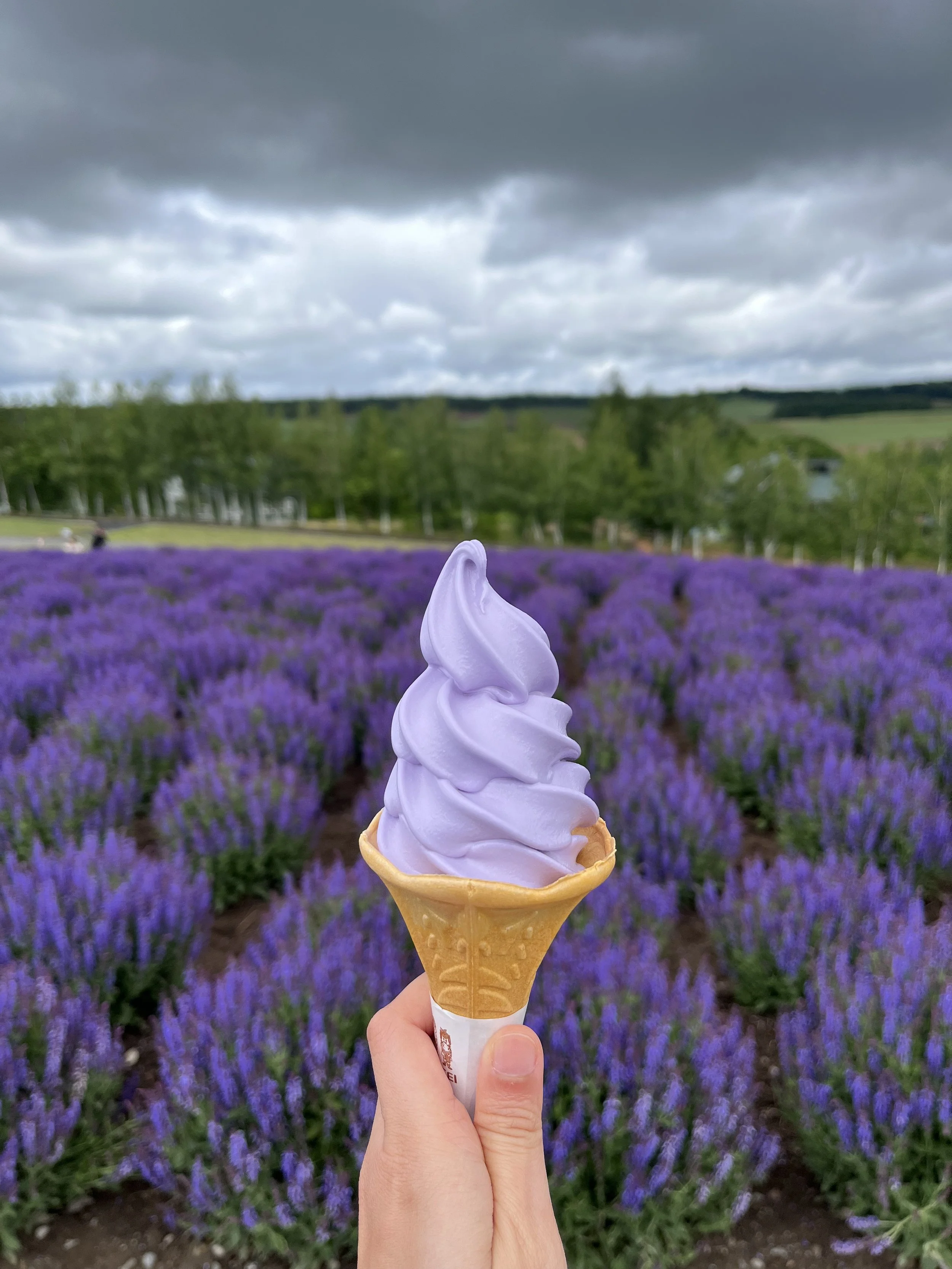 a purple soft-serve ice cream cone against a backdrop of a field purple lavender flowers on a cloudy day