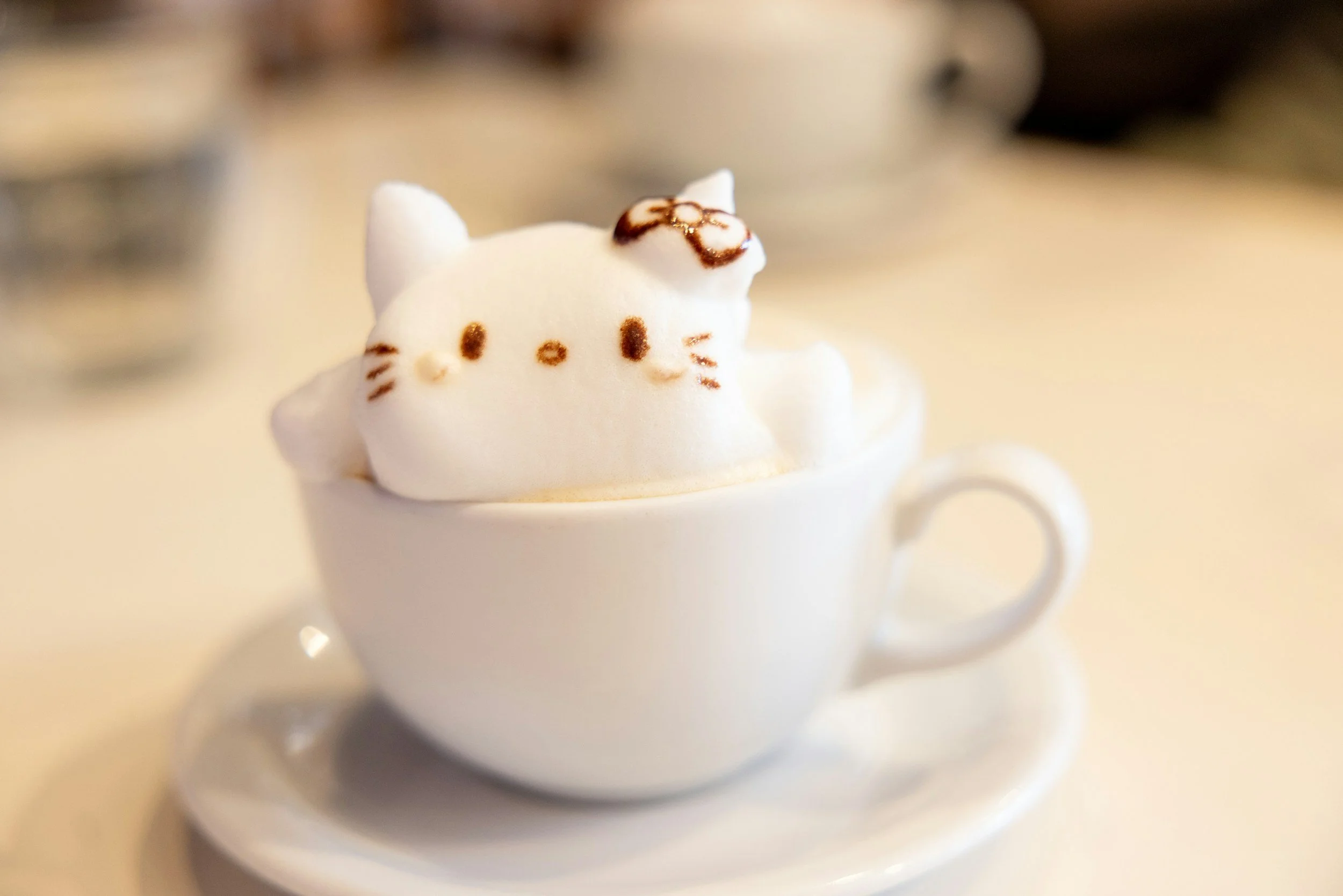 cute cat latte