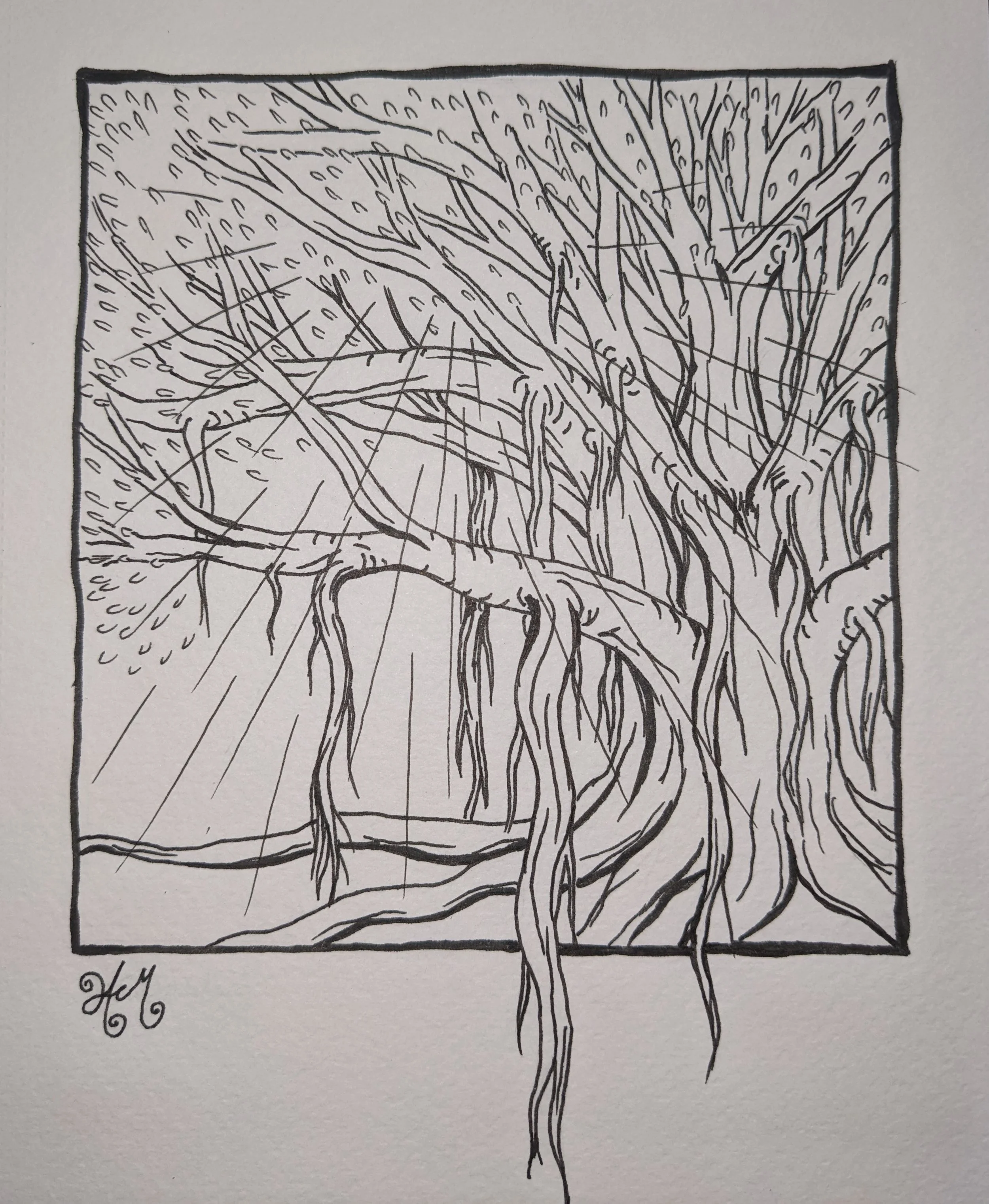 Graphite and ink drawings