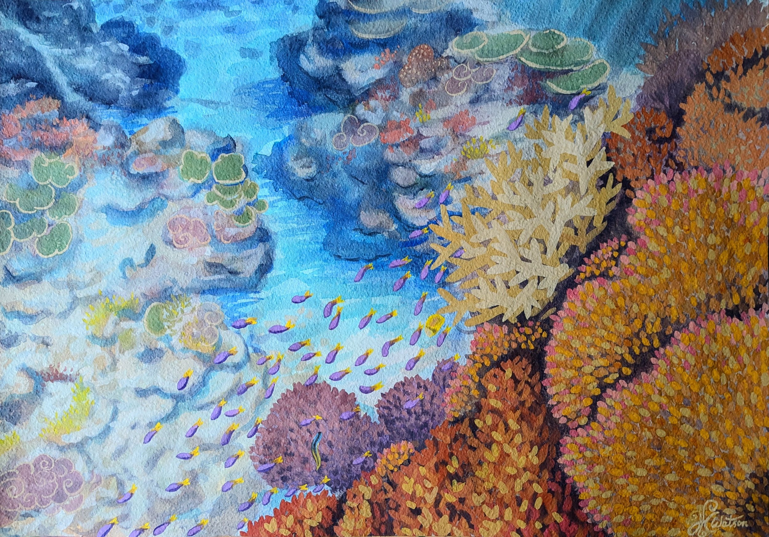 Reef watercolour painting #1