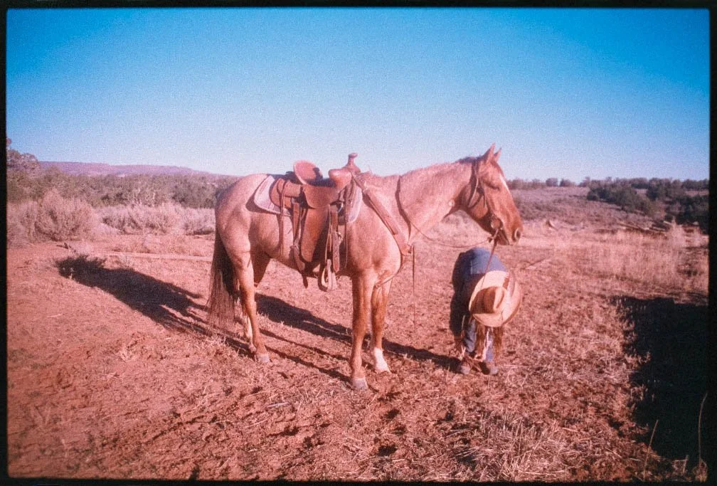 Screenshot 2025-07-28 at 1.49.01 PM.jpg