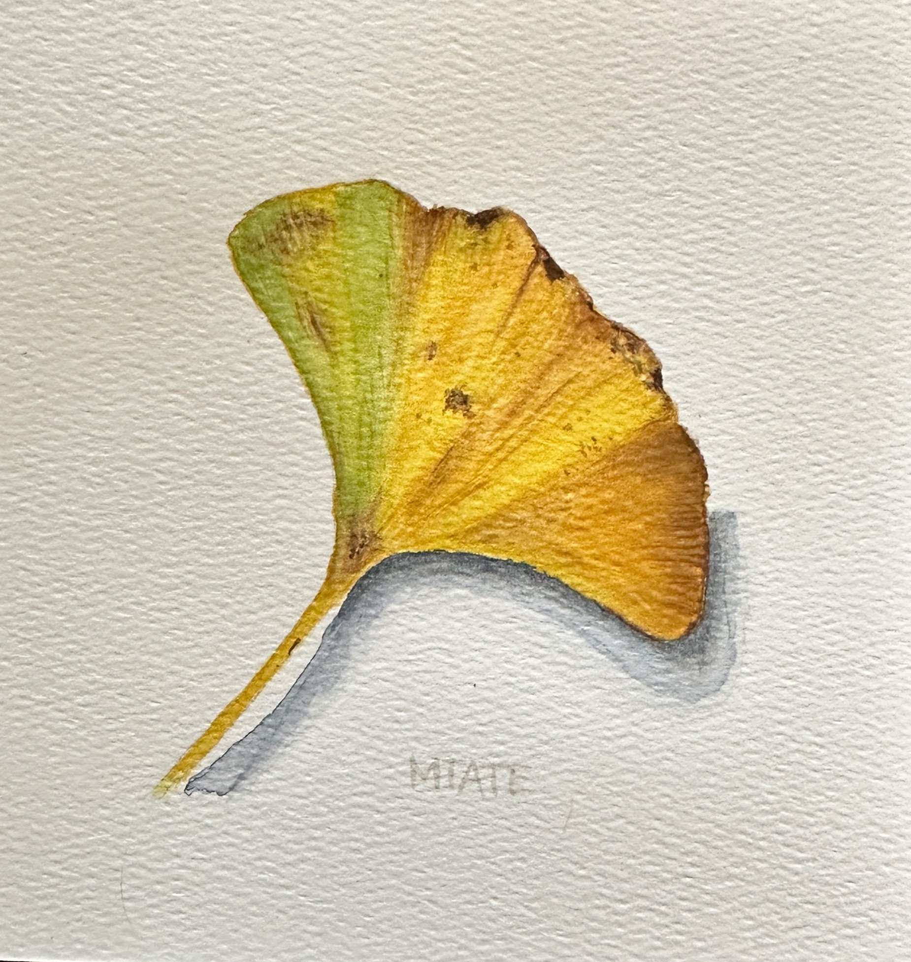 "Leaf for Beth", watercolor, 2024