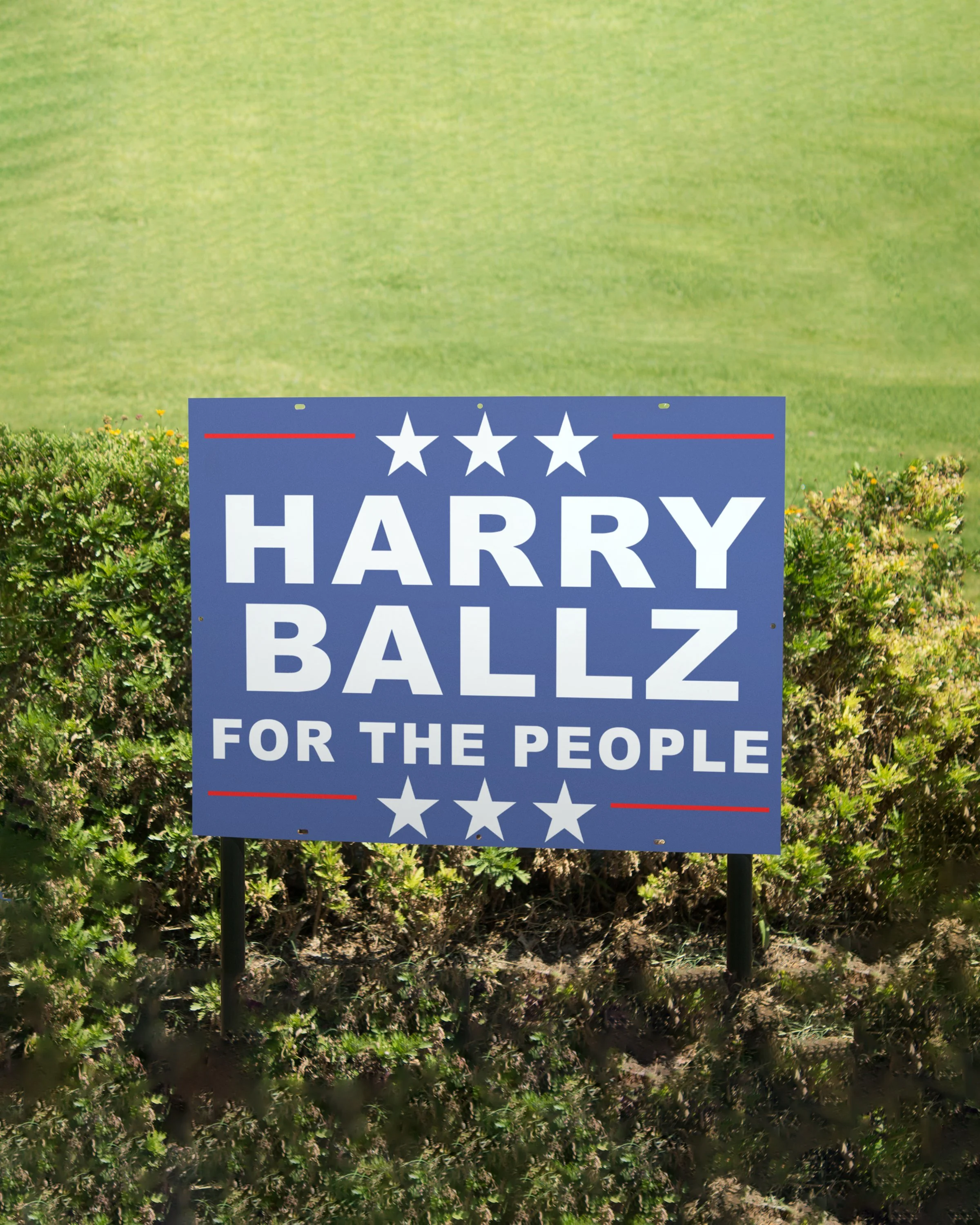 HARRYBALLZSIGNWS.jpg