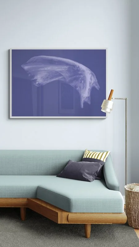fancy-sofa-in-a-sunlit-living-room.jpg
