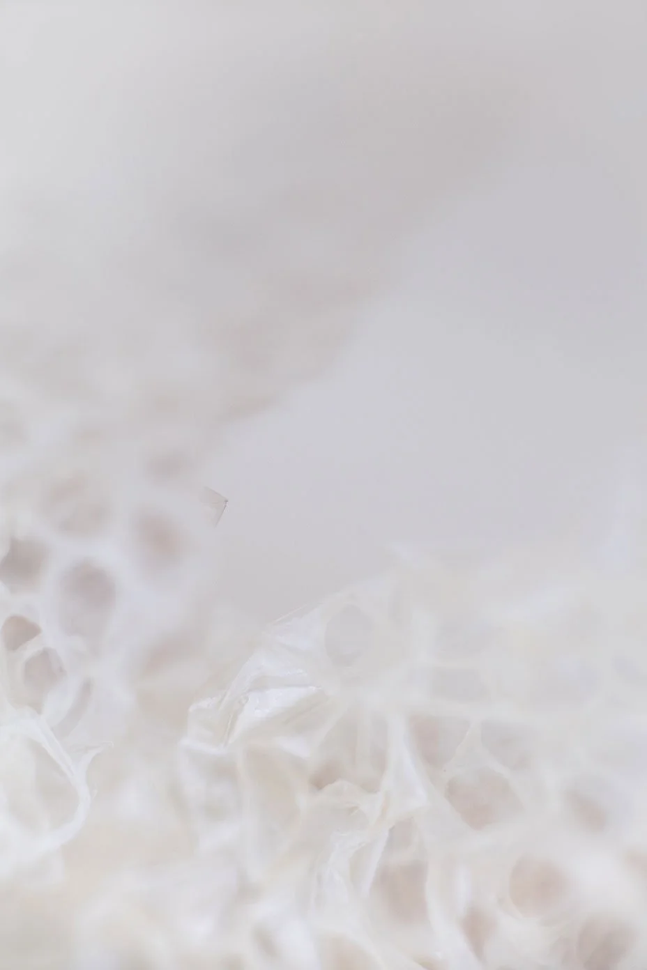 Snake Skin III