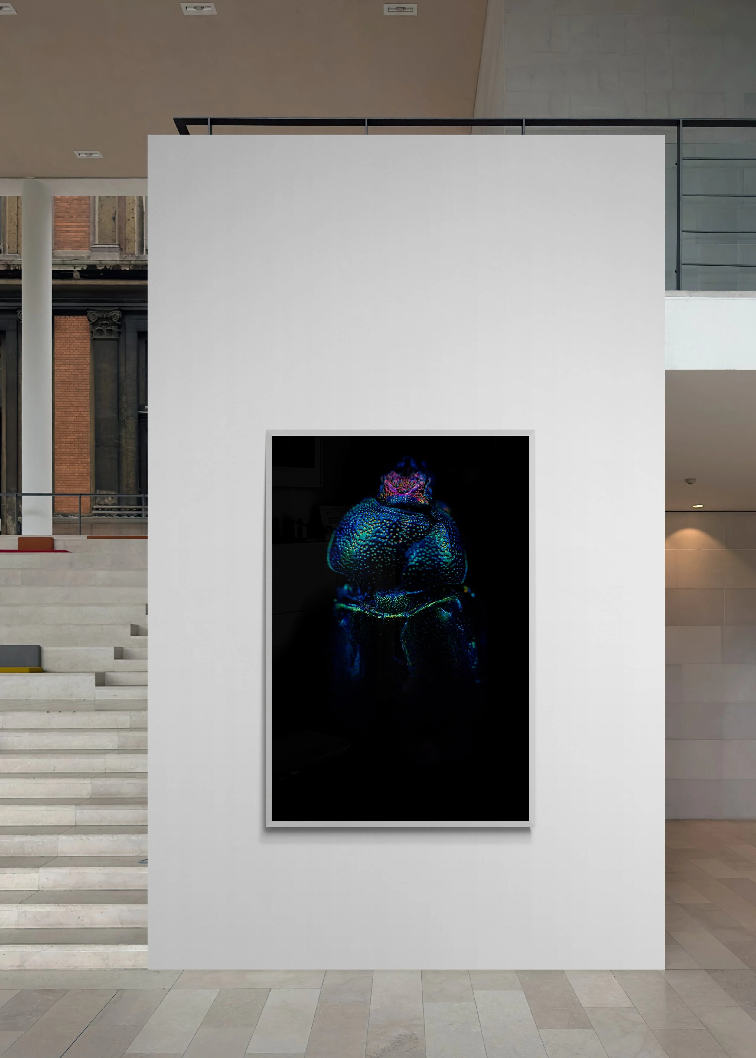art-gallery-wall---27.jpg (Copy)