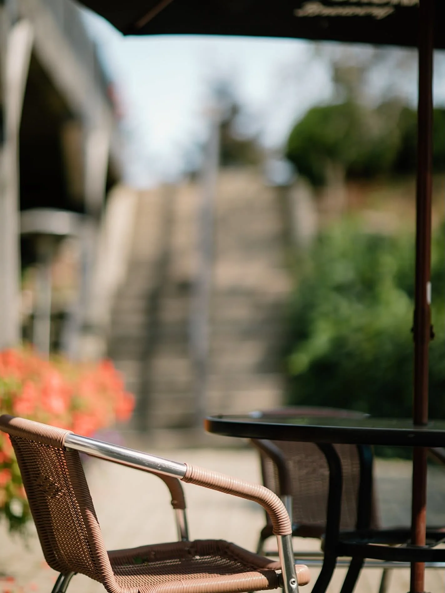 Time to book your patio seat!
We&rsquo;re just one month away from kicking off our LIVE MUSIC SERIES! 🎶

Starting Thursday, June 25, join us as @ryanscott.music opens the season and sets the tone for unforgettable summer nights. The Mill Patio &amp;