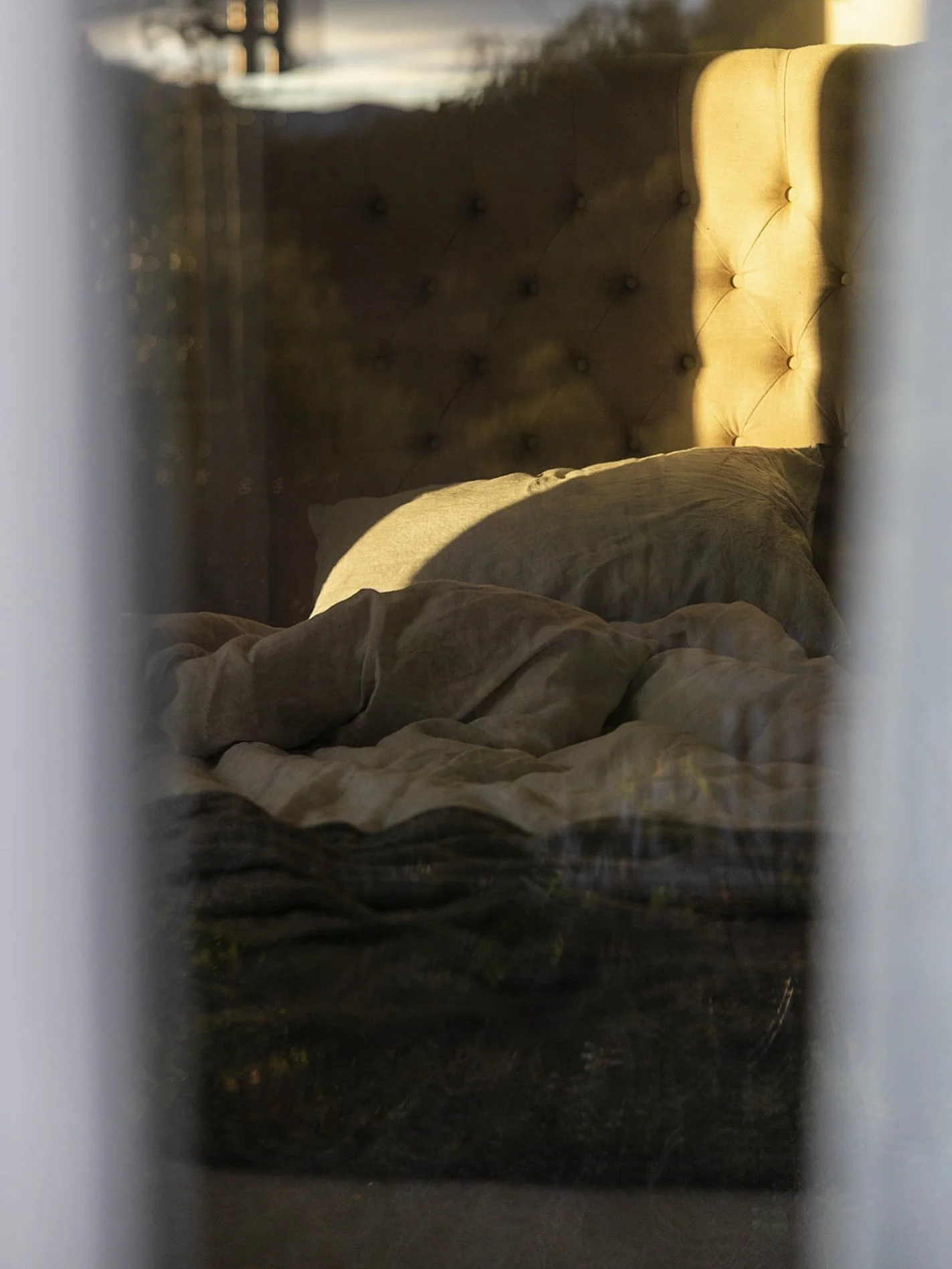 Slow waking moments @little_oak_cygnet ✨

.
.

#lifestylephotography 
#airbnb #interiors #thehostingmasterclass #thm #melbournephotographer 
#geelongphotographer #naturallightphotography #melindatonzing_photography