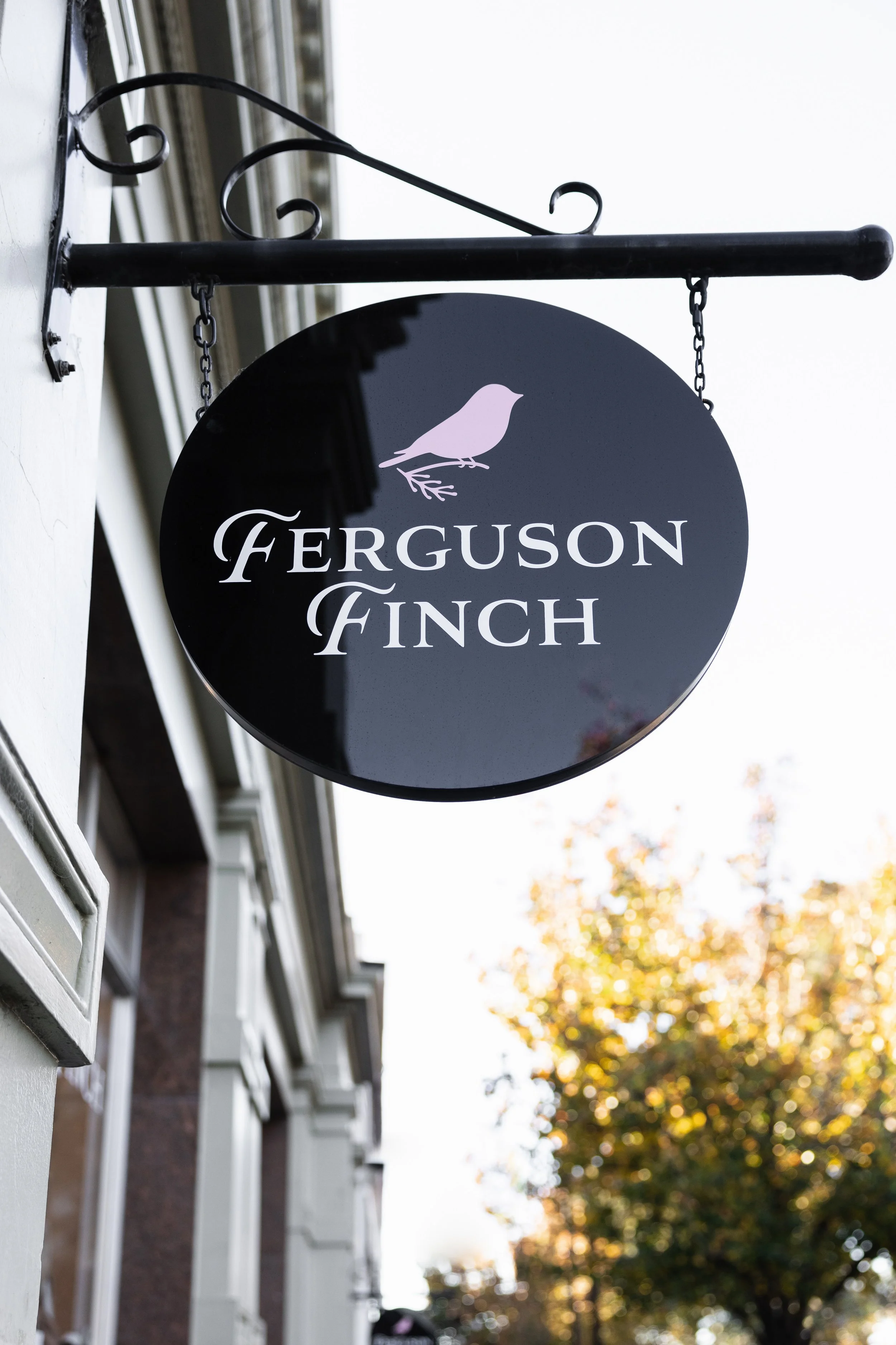 Ferguson Finch