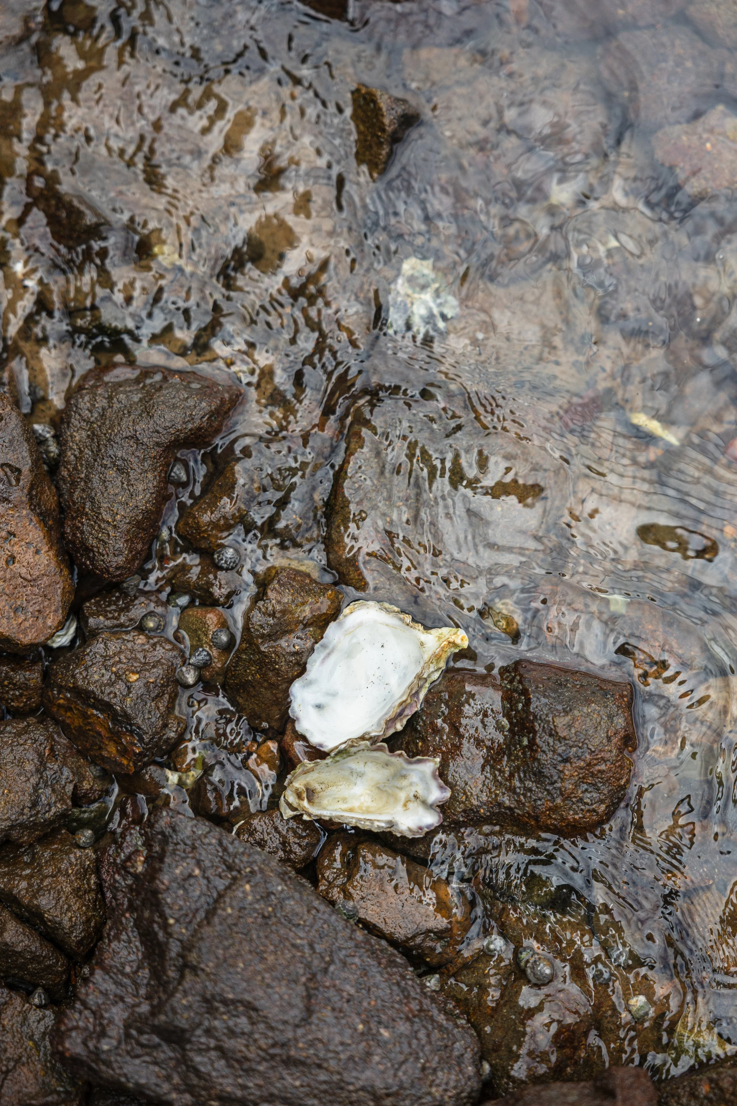 meltphoto_ jpeg-91.jpg