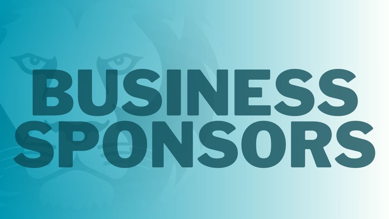 Business Package Bmw