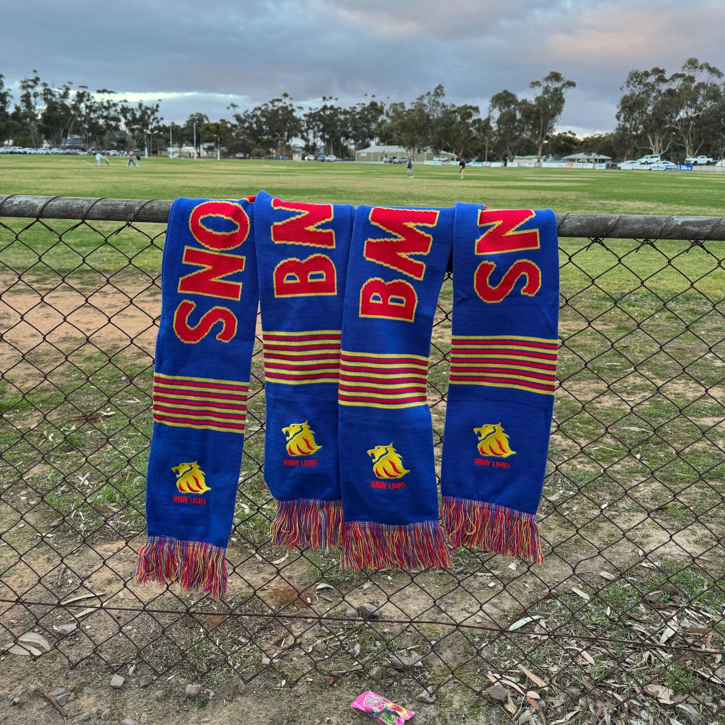 Home – BMW Lions Football & Netball Club