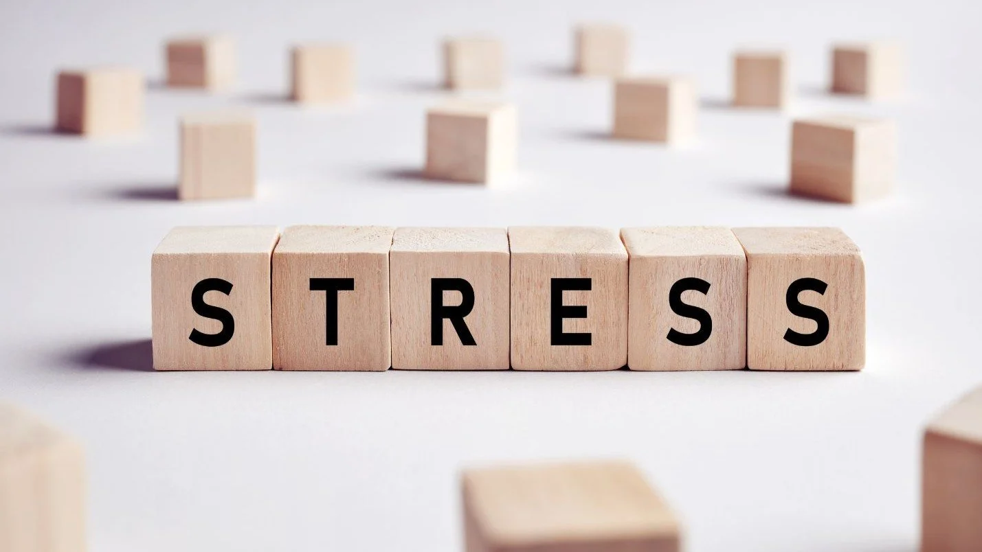 Stress, Your Nervous System &amp; Chiropractic Care 