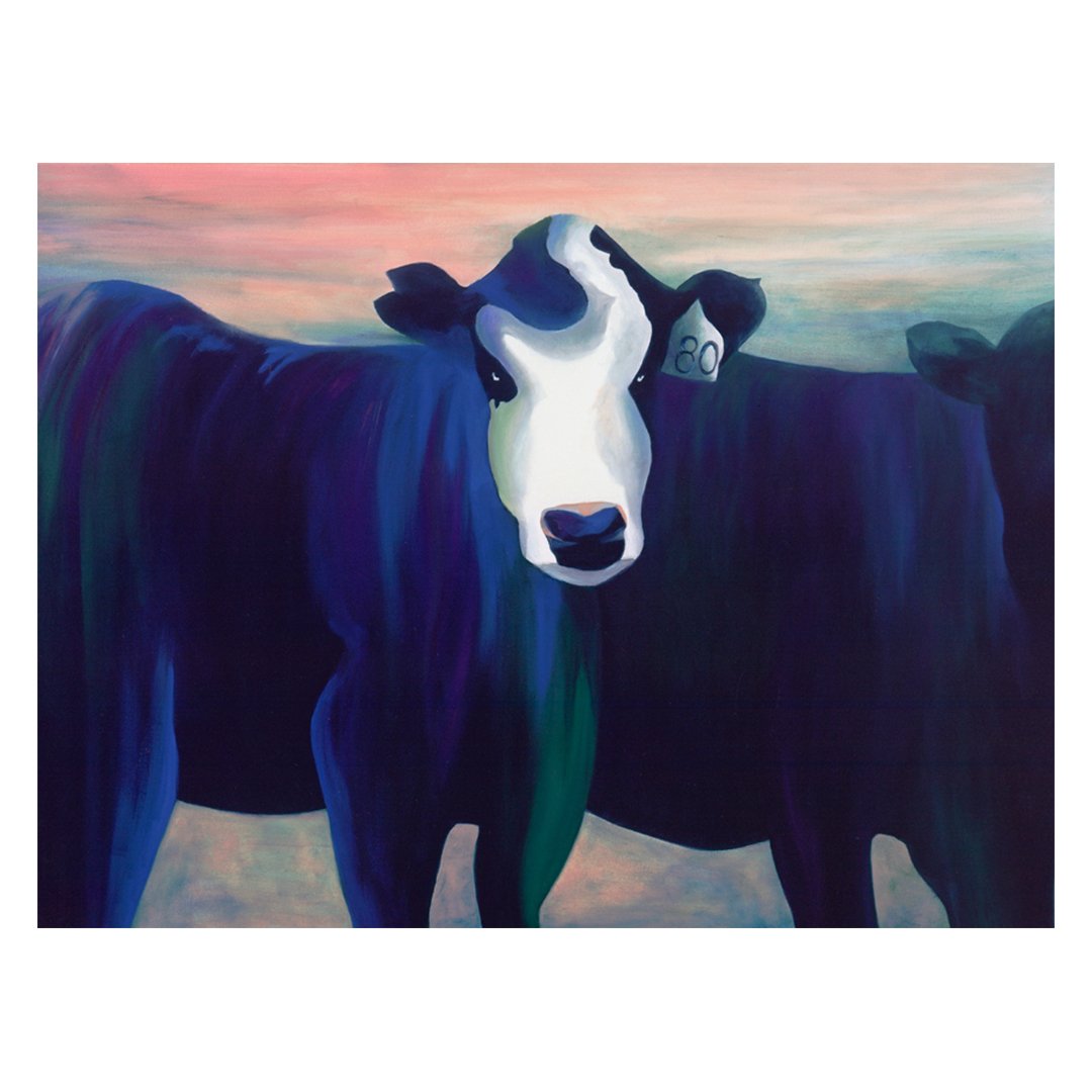 Cow80.jpg
