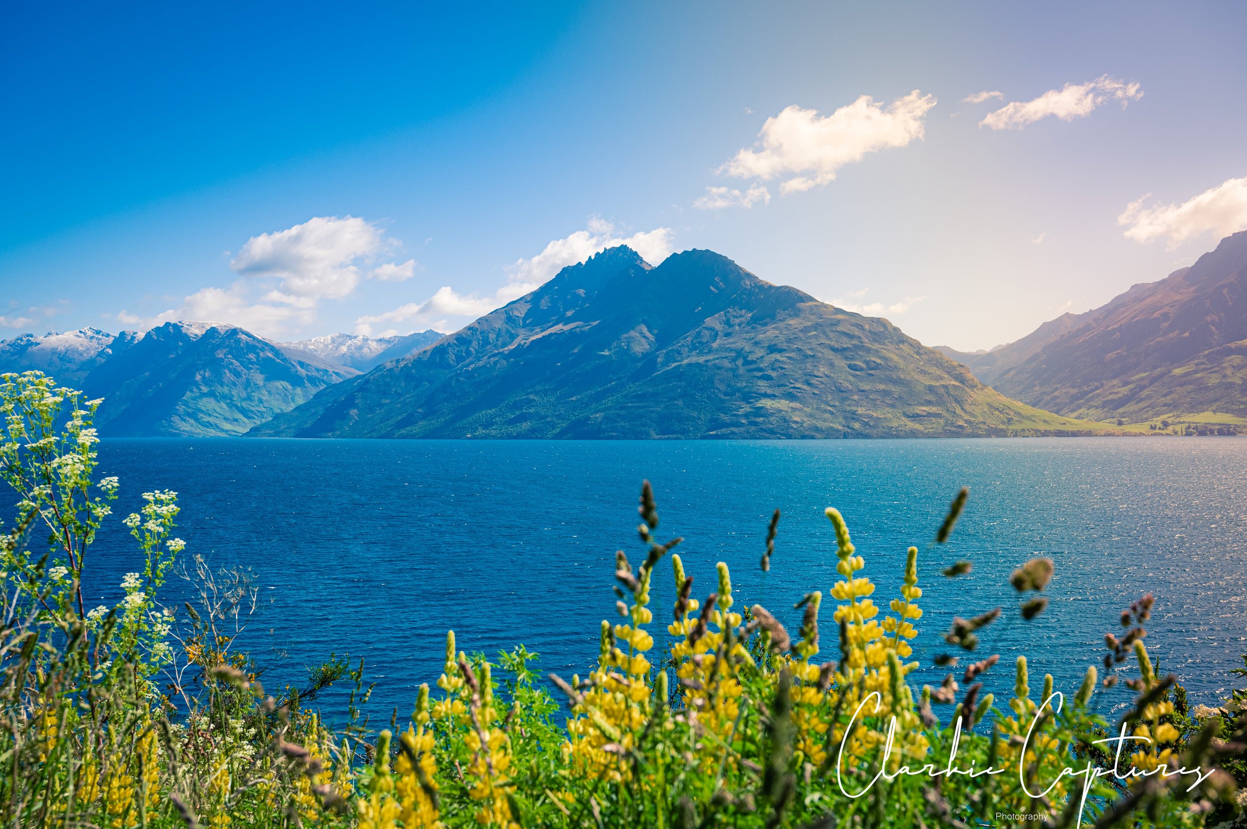 Scenic view of a large lake with mountains in the background under a partly cloudy sky, with wildflowers in the foreground.
