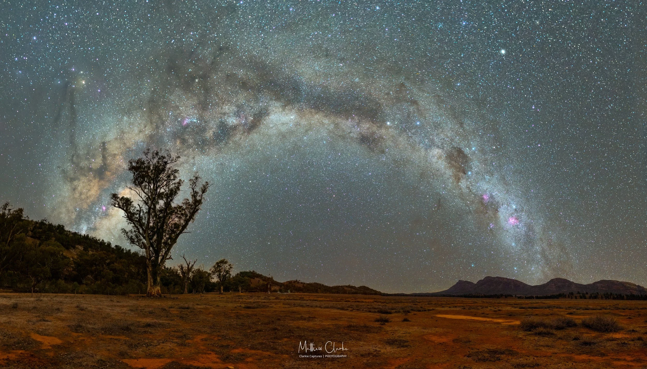 Night sky filled with stars and the Milky Way galaxy over a landscape with trees and mountains.