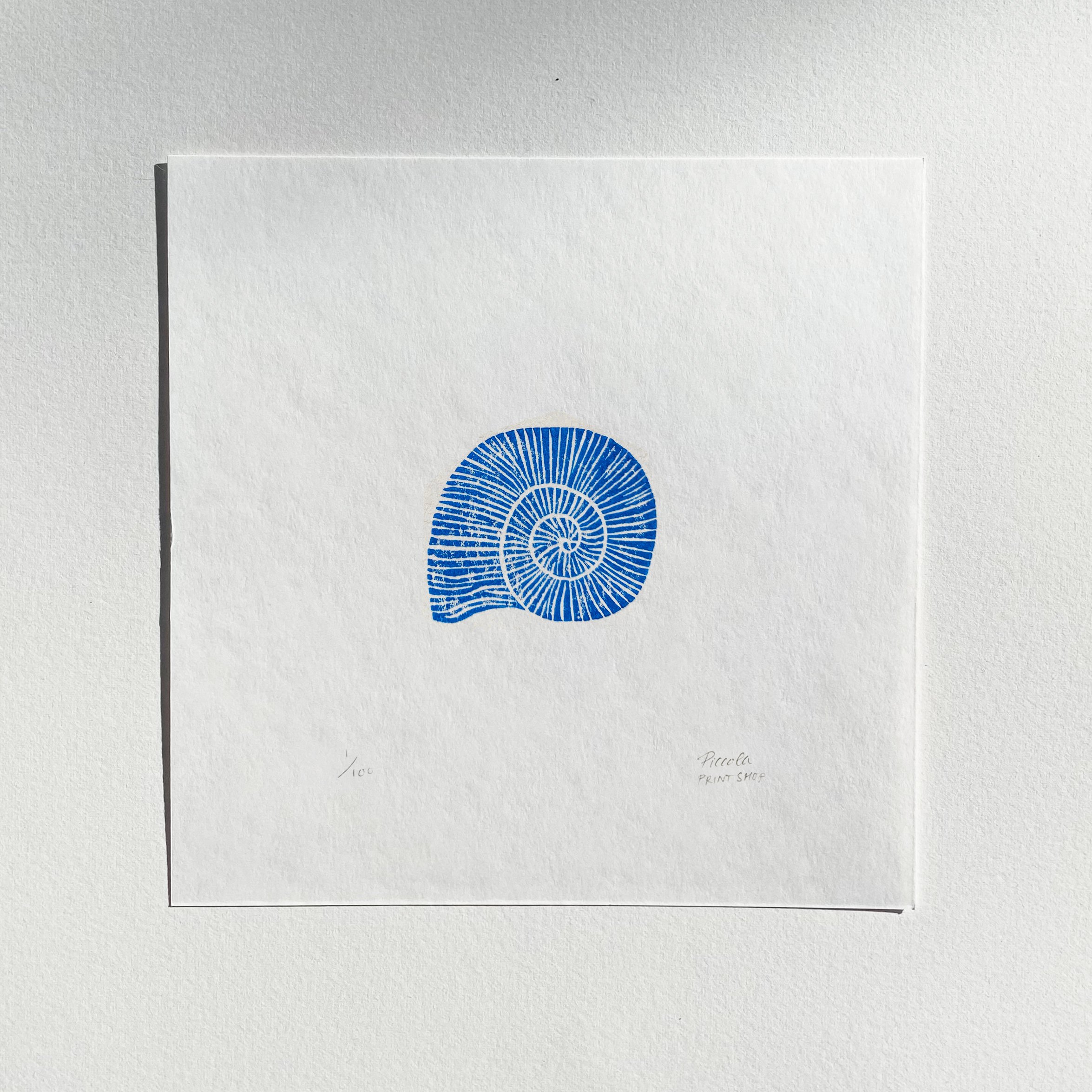 Shell-print.jpg
