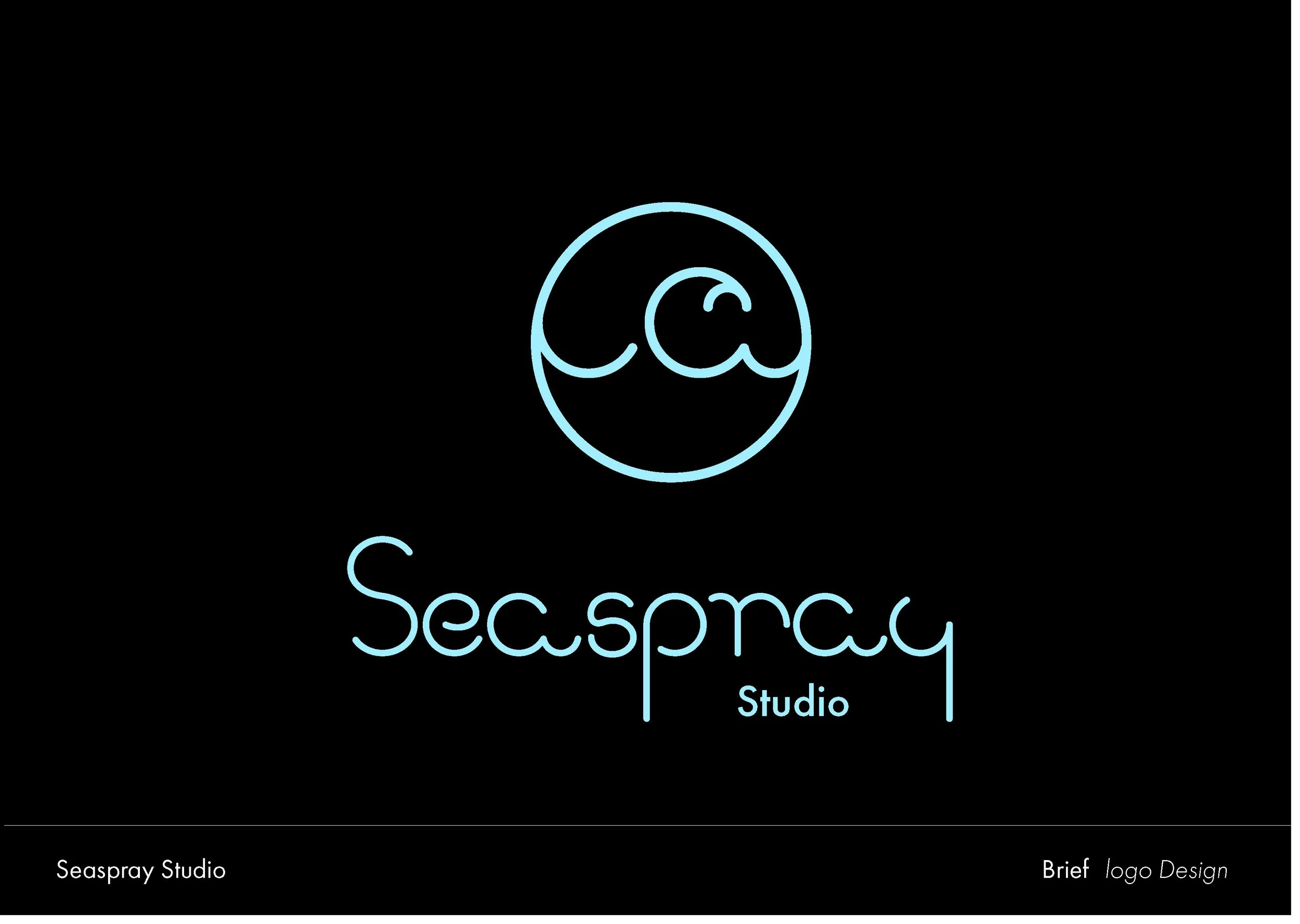 Seaspray presentation _Page_19.jpg