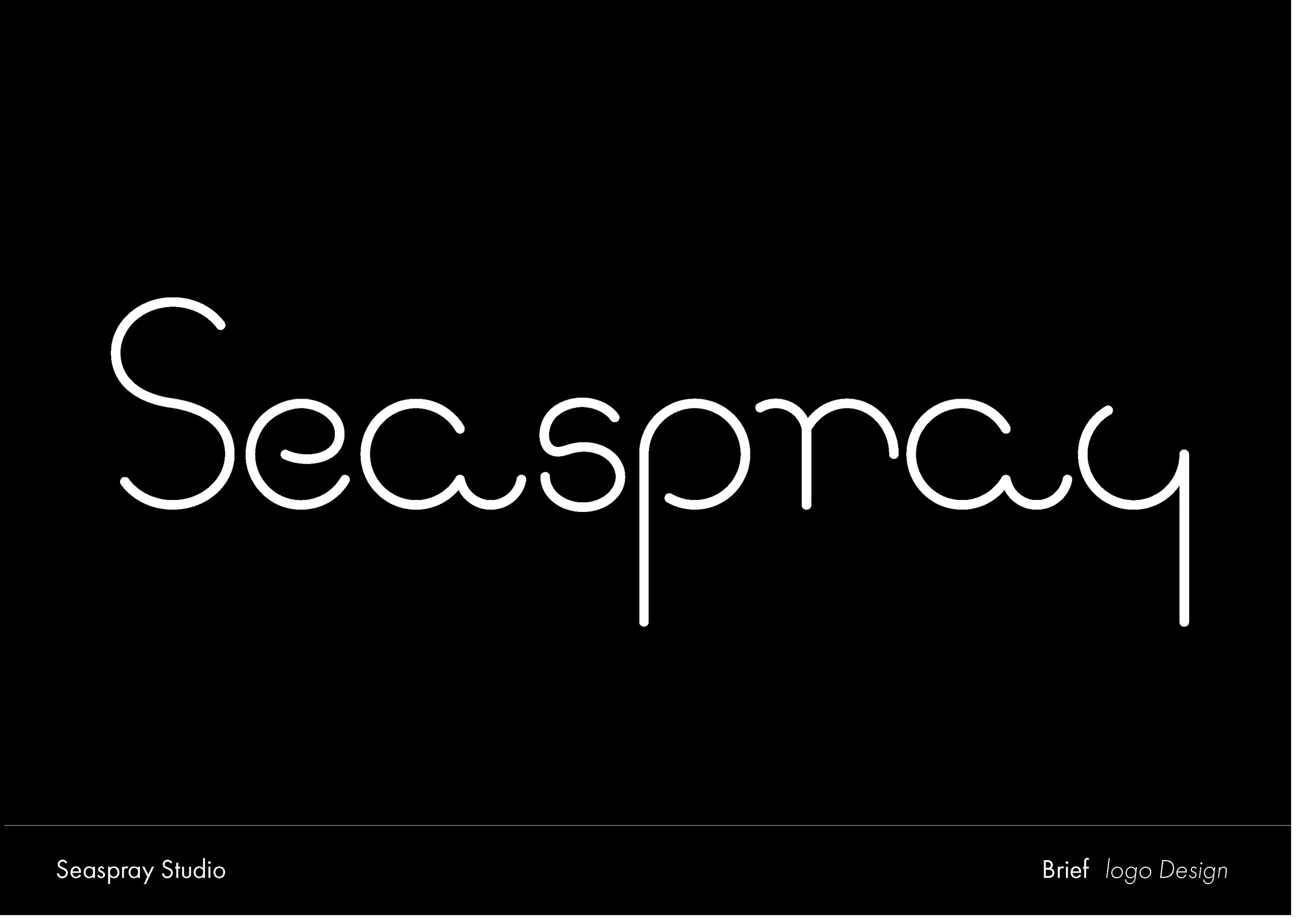 Seaspray presentation _Page_13.jpg