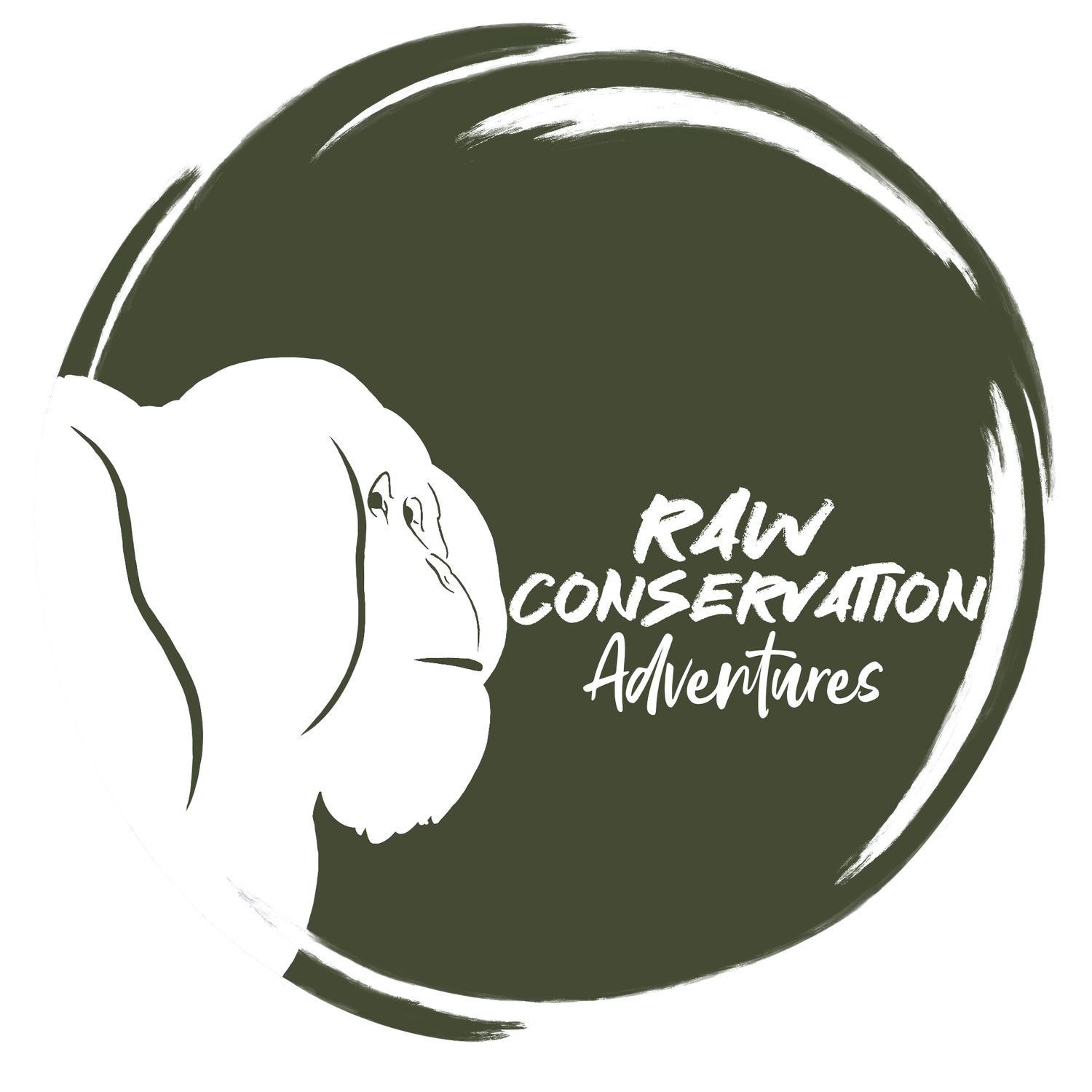 Transparent+background+green.png