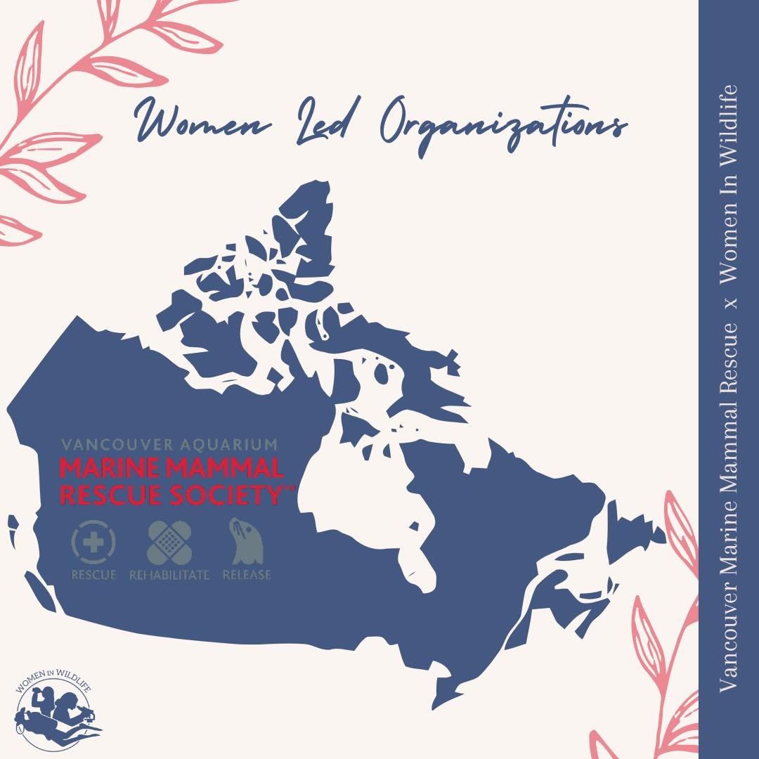 Behind every rescue is a woman making waves 🌊 

This week, we shine a spotlight on the Vancouver Aquarium Marine Mammal Rescue Society vammrs🦭🏥

A women-led team dedicated to rescuing, rehabilitating, and releasing marine mammals in distress along