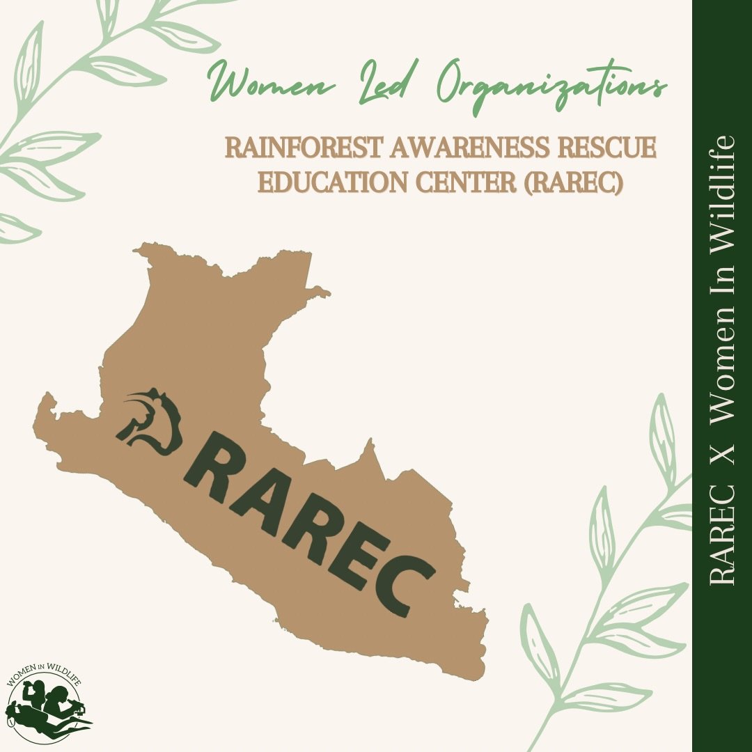 Introducing our next amazing organization filled with extraordinary women, @rarec.center!🐒🌿

Based in the Amazon jungle of Per&uacute;, RAREC&rsquo;s mission is:  Rescue, Rehabilitate, Rewild and Educate. In Per&uacute;, the illegal wildlife trade 