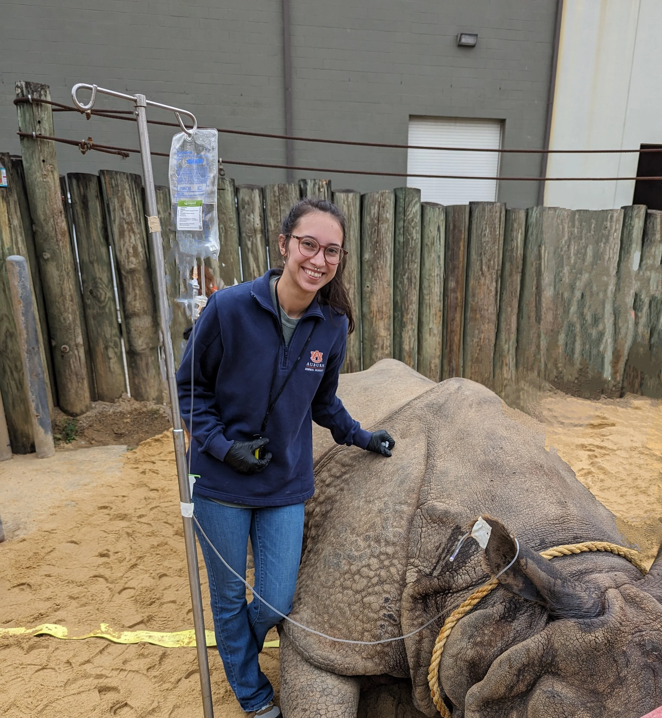 The Vet School Journey: Real Talk from a DVM Student