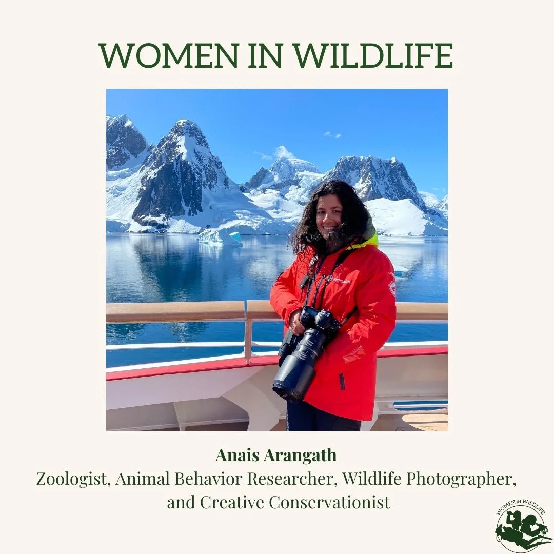 Meet Anais Arangath! Zoologist, Animal Behavior Researcher, and Creative Conservationist🌿

From training birds and reptiles in a zoo, to studying hummingbird cognition in Canada and penguins in Antarctica, her journey shows how many forms wildlife c