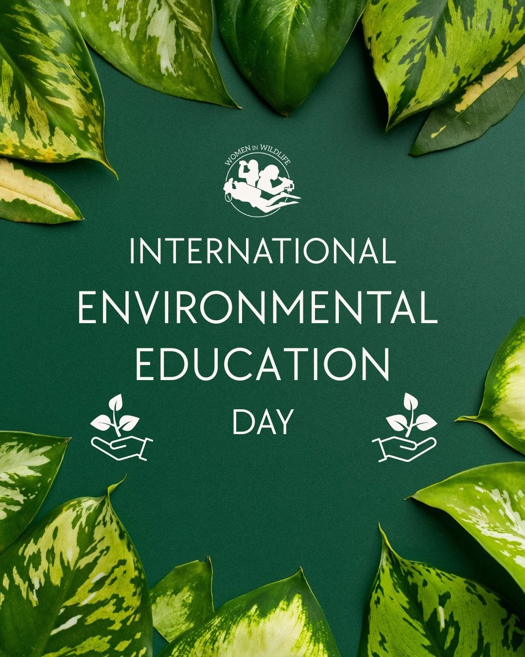 Today is International Environmental Education Day!!

Education fuels this field and allows for a global network of conservationist, scientists, educators, and veterinarians working towards the same goal to bring awareness to the state of our planet?