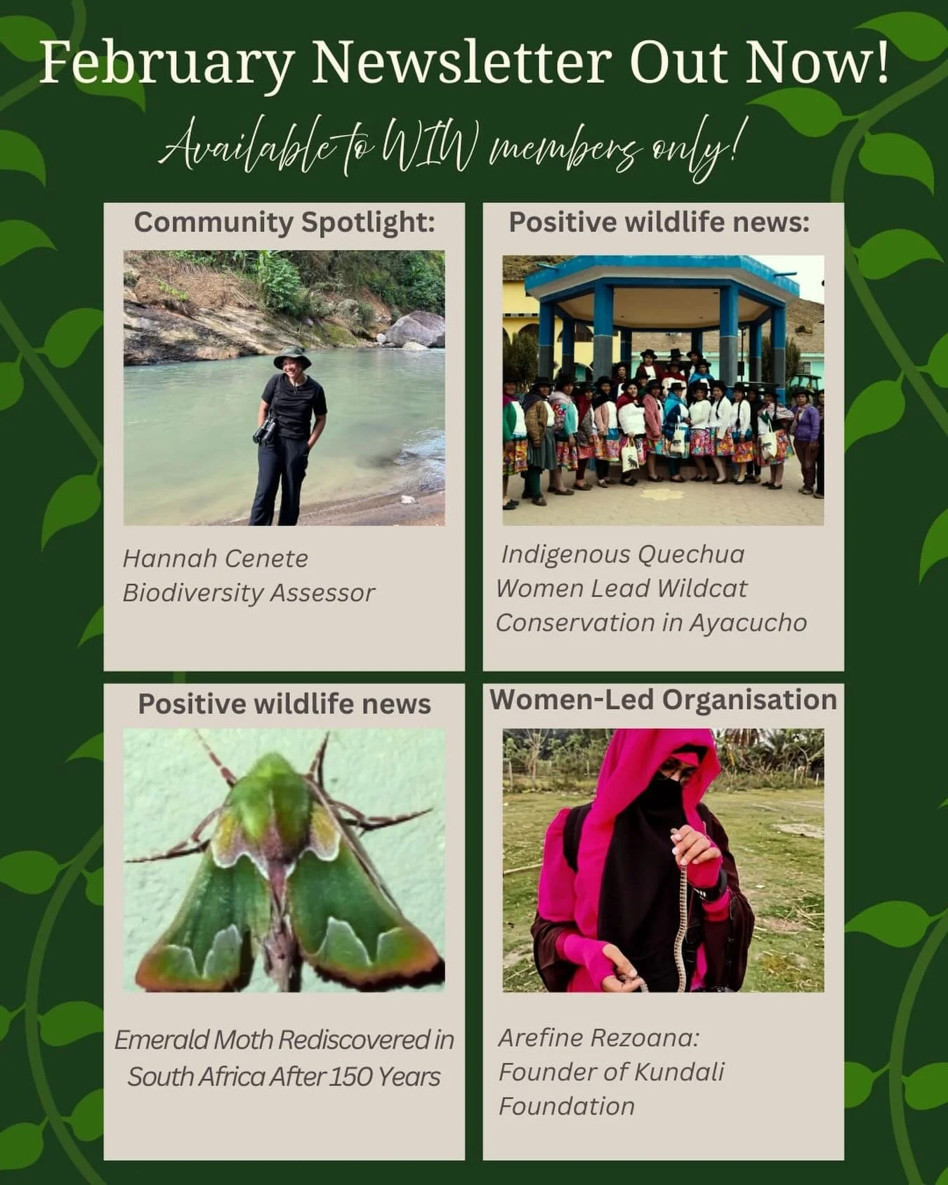 Members, check your portals! The February newsletter is live 💌 as always, it&rsquo;s a good one that covers some very impressive stories🤩