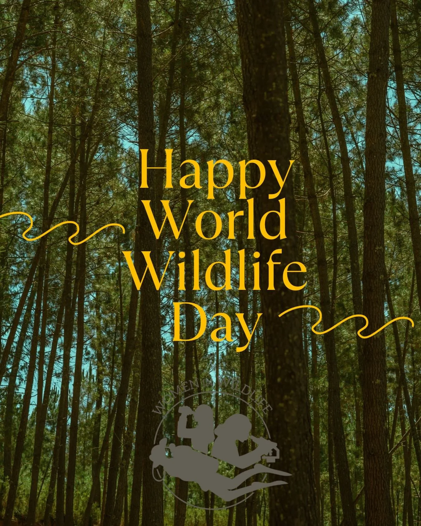 Happy World Wildlife Day from WIW! Celebrating all creatures great and small, along with the passionate conservationists fighting to protect them🦁🐨🐻&zwj;❄️🦇🐛🪱🦅🐢🪼🦑🦎🪲🐊🦍🦈🦧🦒🦏🦓🐋🦥
