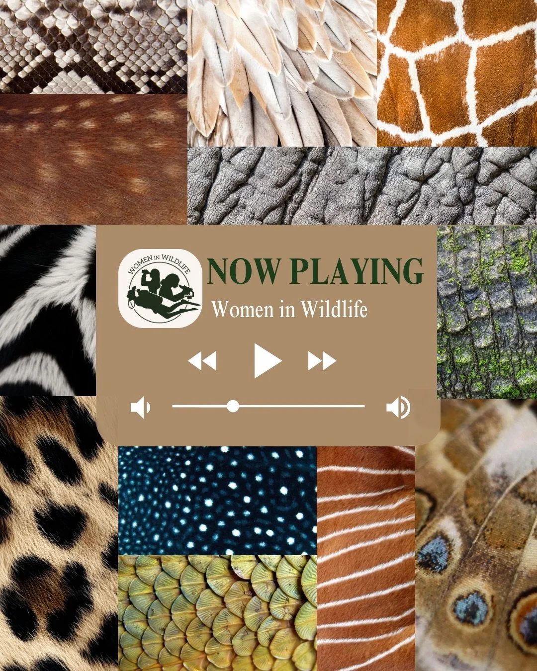 Nature&rsquo;s Playlist 🌿

What song is on your favorite species playlist? Tell us below ⬇️ 

#womeninwildlife #wildlife #conservation #spotify #music