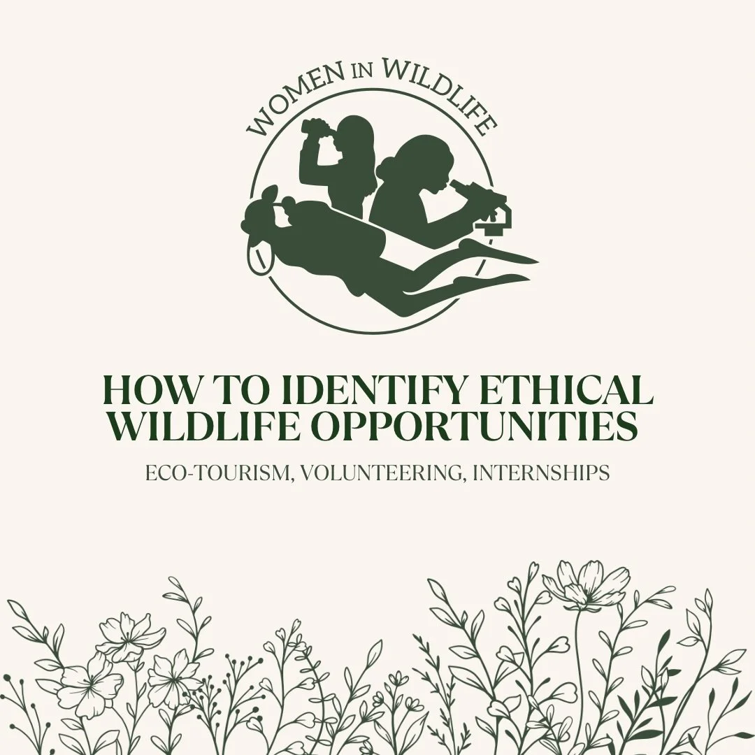 A guide to finding the most ethical wildlife experiences 🌿🐒

Drop your recommendations in the comments!👇🏼

#womeninwildlife #ethicalconservation #ecotourism #wildlife #conservation