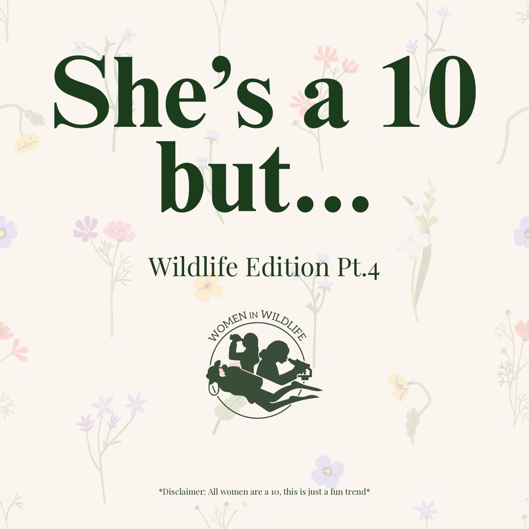 So all 10&rsquo;s right?💁🏽&zwj;♀️
&bull;
&bull;
Remember this is just a fun trend&hellip; women shouldn&rsquo;t be defined by a number🤩

#womeninwildife #womeninstem #STEM #womeninspiringwomen #womensupportingwomen
