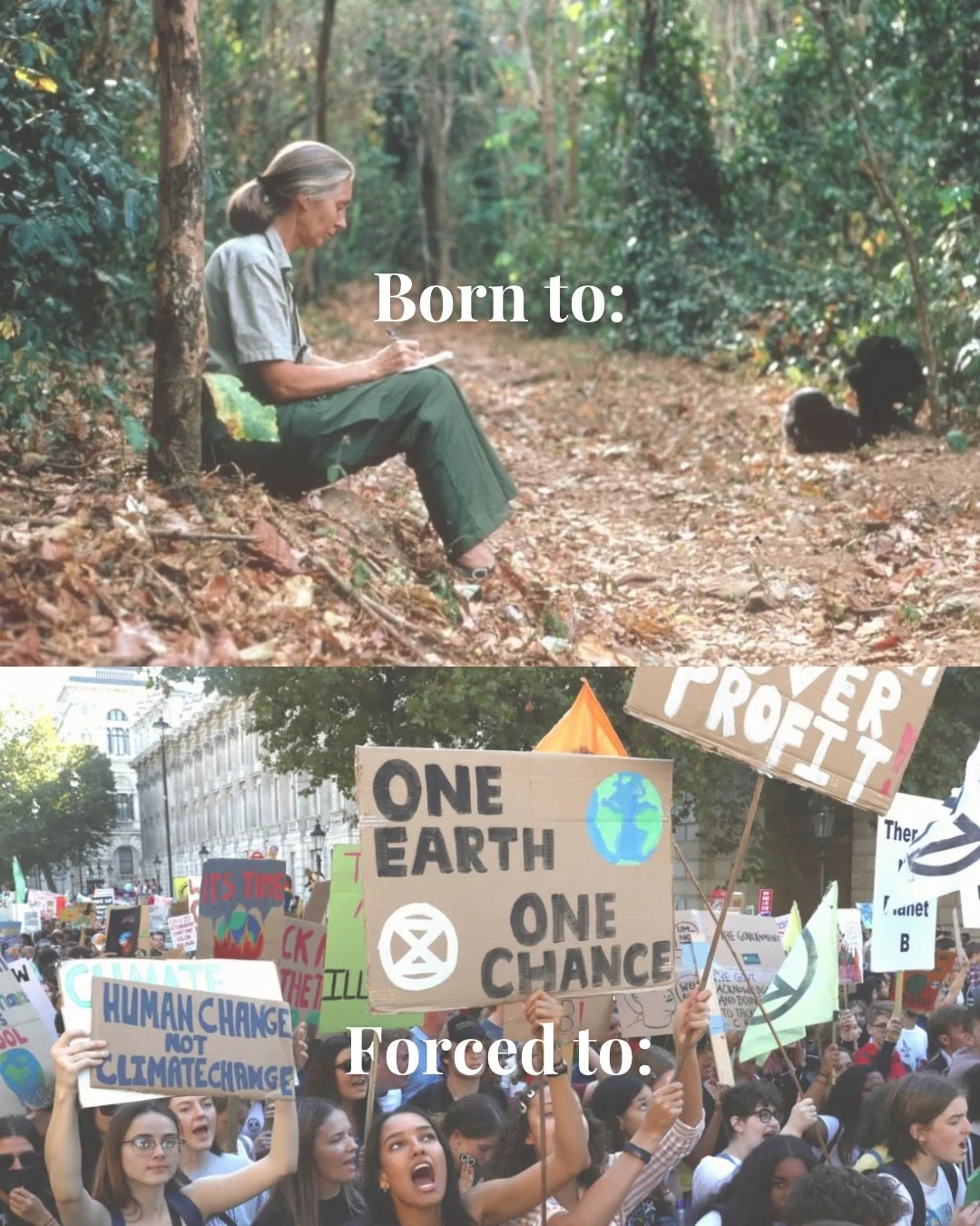 Just a girl surviving in conservation 🪲

#womeninwildlife #womenintheoutdoors #womeninstem #womeninconservation #conservation