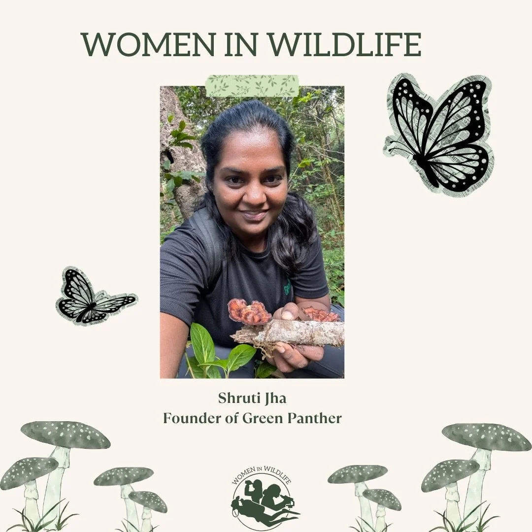 Meet Shruti founder of Green Panther 🍄

Inspired by a desire to help city kids stay connected with nature, Shruti began Green Panther which is a nature education initiative connecting urban children and their parents to the nature around them.

Now 