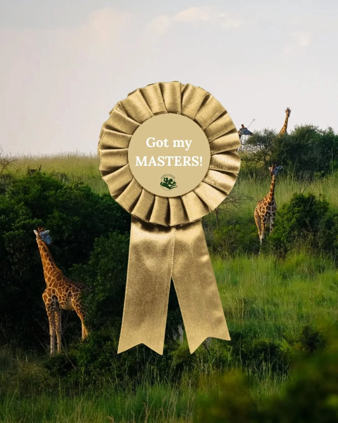 Celebrating wins, big and small! 🏆

Tell us your wins below ⬇️ 

#womeninwildlife #womeninstem #womeninspiringwomen #womensupportwomen #wildlifeconservation