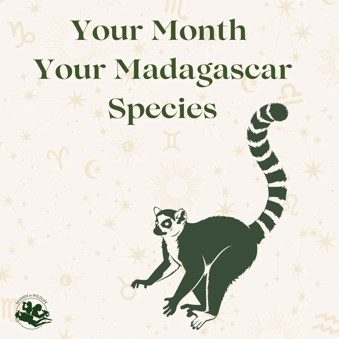 Travel to Madagascar with us, but first find out which animal you are! 🇲🇬 

#womeninwildlife #madagascar #lemur #astrology #zodiac