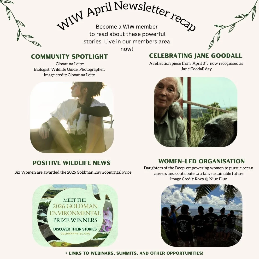 WIW members, check your portals! Your April issue of the WIW newsletter is in your inboxes 💌📪 Hear about the latest news from WIW, and some of our favourite &ldquo;women in wildlife&rdquo; stories going on around the world!🌍
