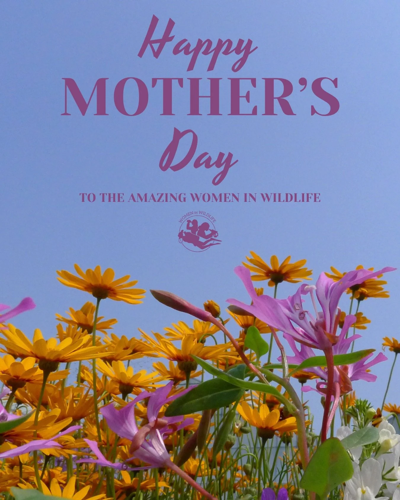 Happy Mother&rsquo;s Day to all the wildlife moms 💐 

(Fur babies count too 😉)

#womeninwildlife #mothersday #mothersinstem #stem #conservation