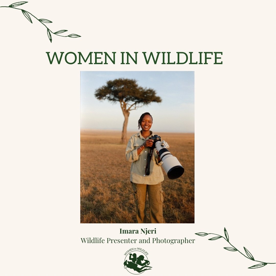 Meet @imara.in.mara, a photographer and videographer based in the Maasai Mara 🇰🇪 🎥 

This self taught talent has dedicated her life to capturing raw, unfiltered flora and fauna in Kenya. Although her path hasn&rsquo;t been linear, she has created 