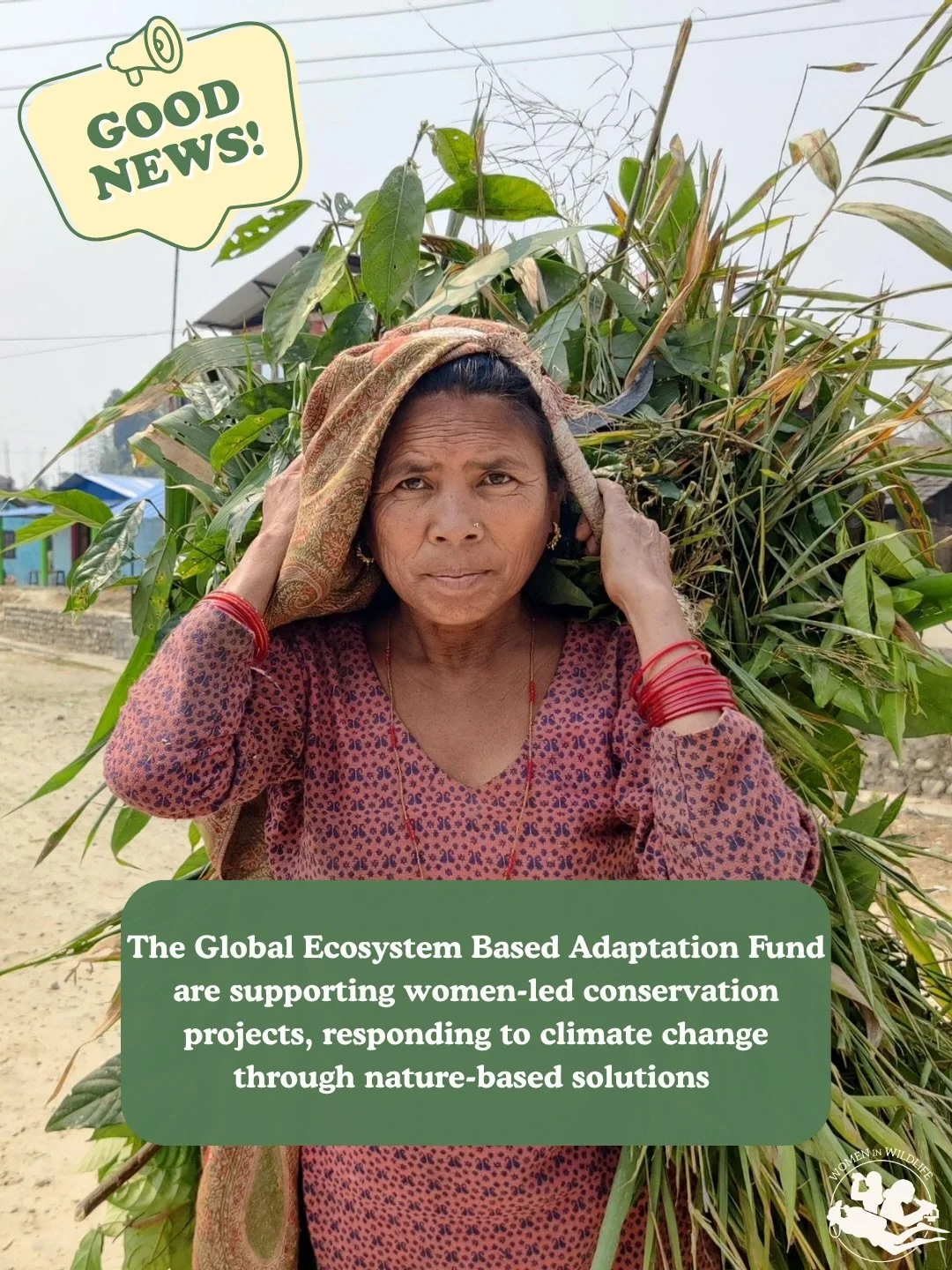 📣 GOOD NEWS OUT OF NEPAL 📣 

Women-led conservation projects are leading to nature based solutions to combat climate change in Nepal🇳🇵 

#womeninwildlife #nepal #wildlifeconservation #nepalwildlife #climatechange